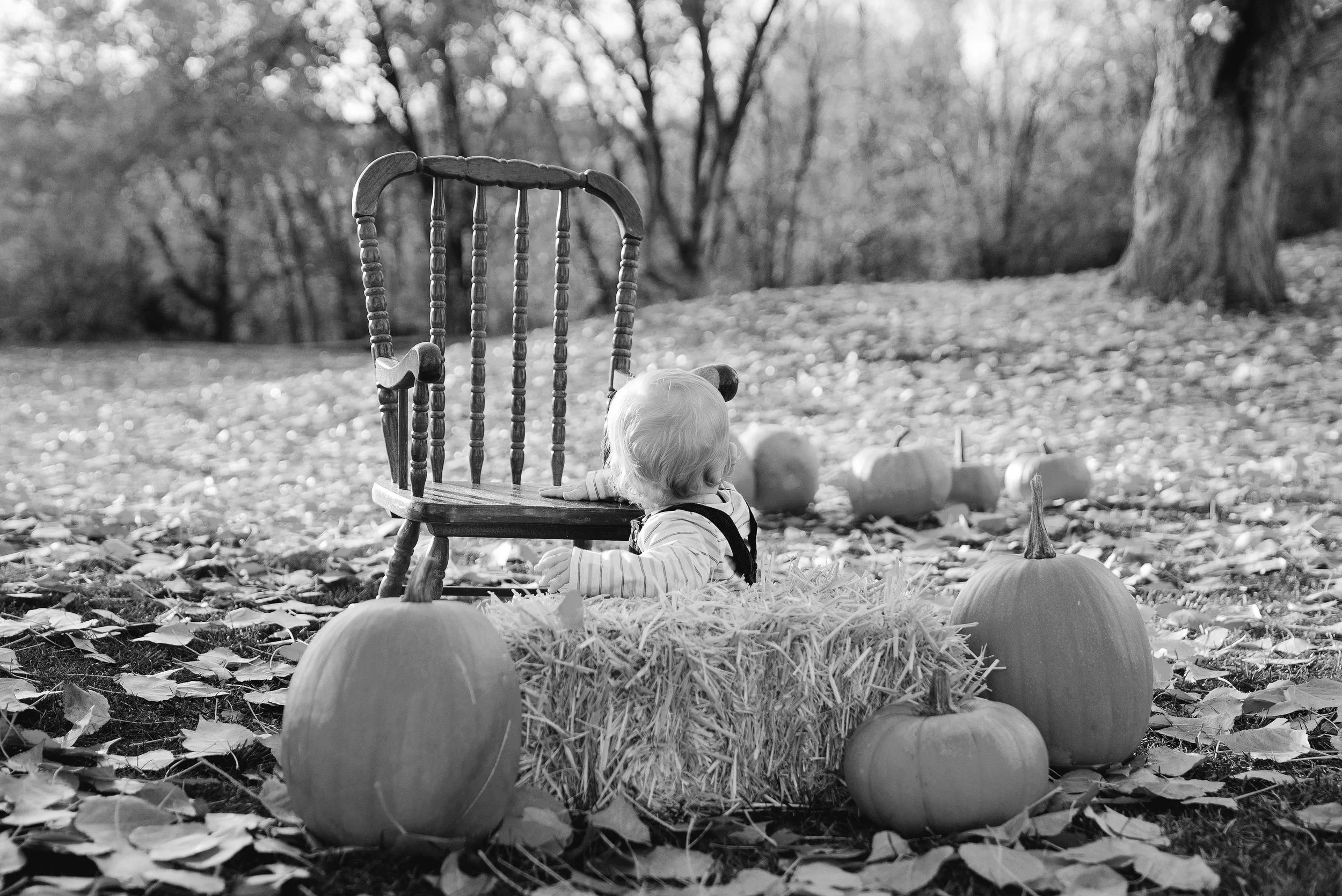 A child with light-colored hair seated outdoors in autumn, surrounded by pumpkins and fallen leaves. The child is near an empty wooden chair on a lawn with trees in the background.