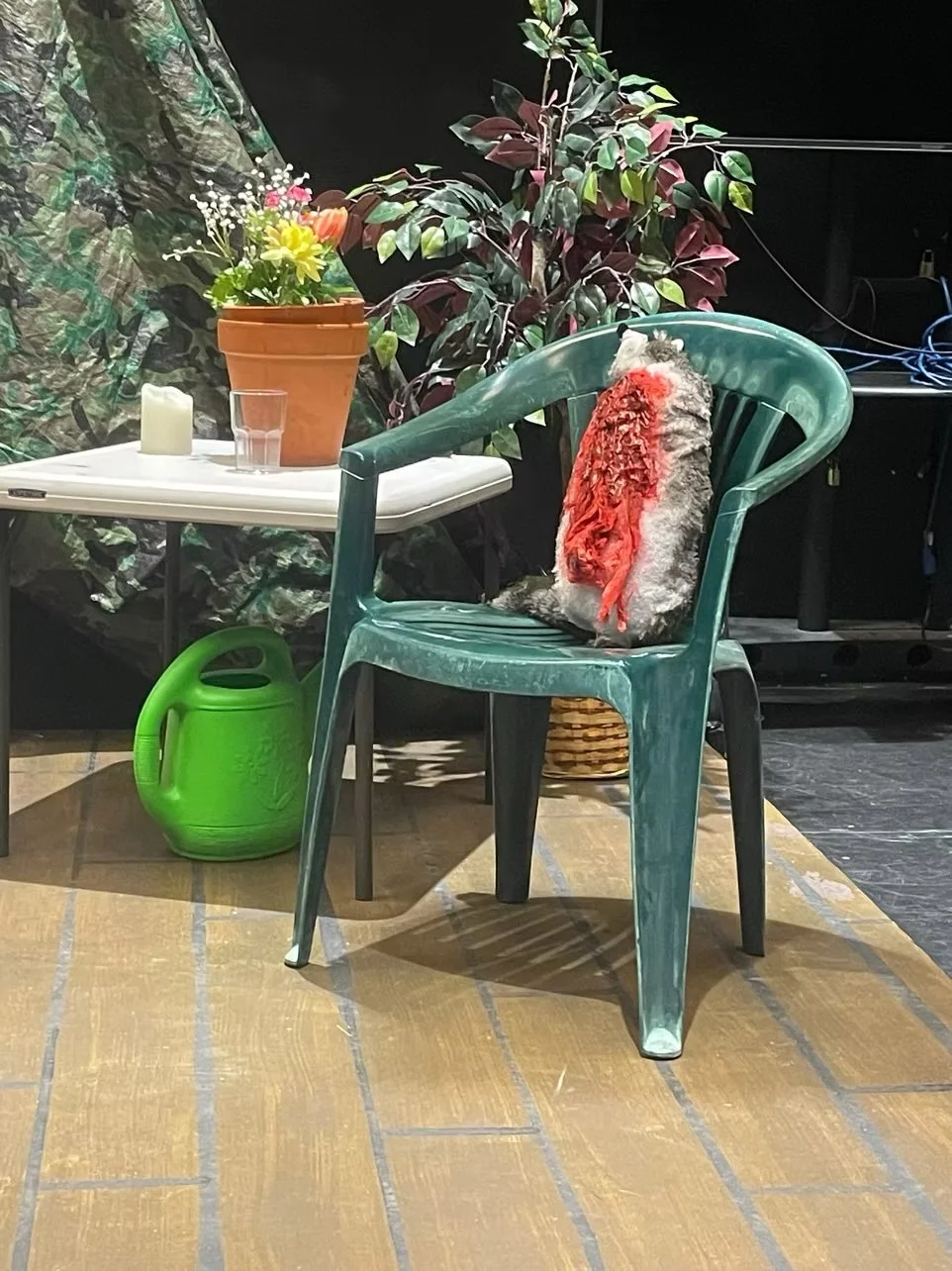 Dead Raccoon (Barbecue Apocalypse)