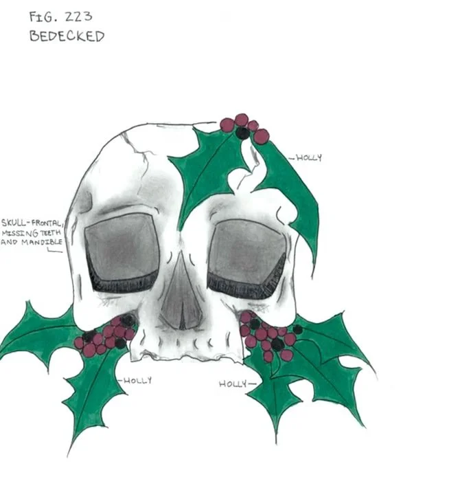 Holiday Anatomy: Bedecked