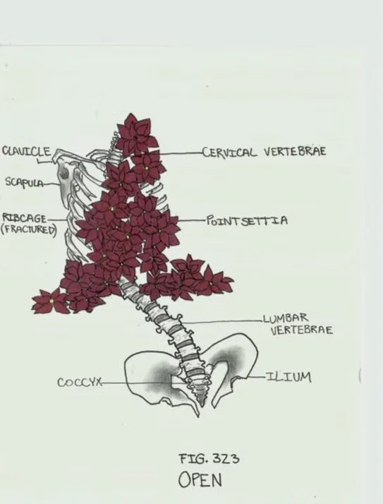 Holiday Anatomy: Open