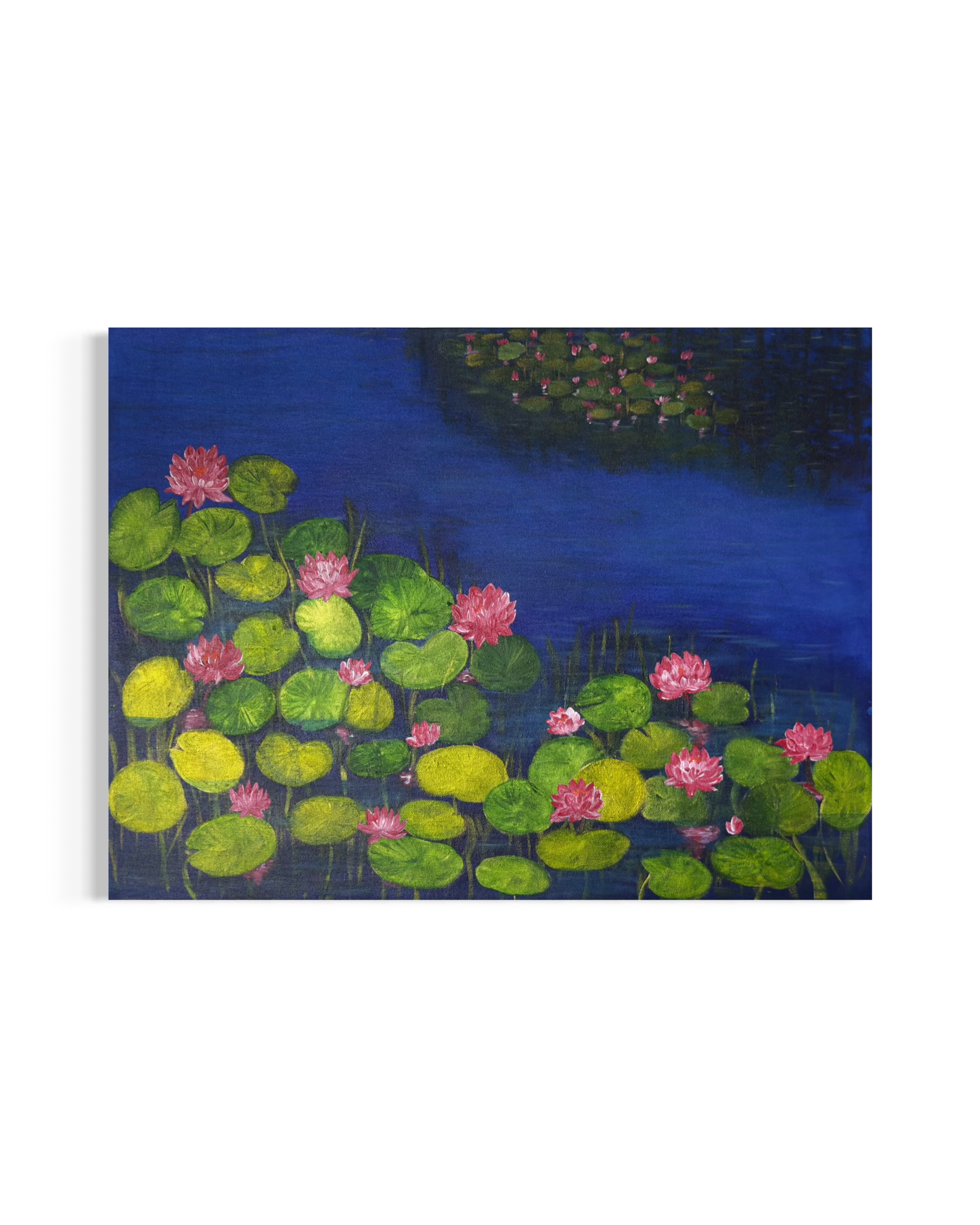 IMG_5978.png