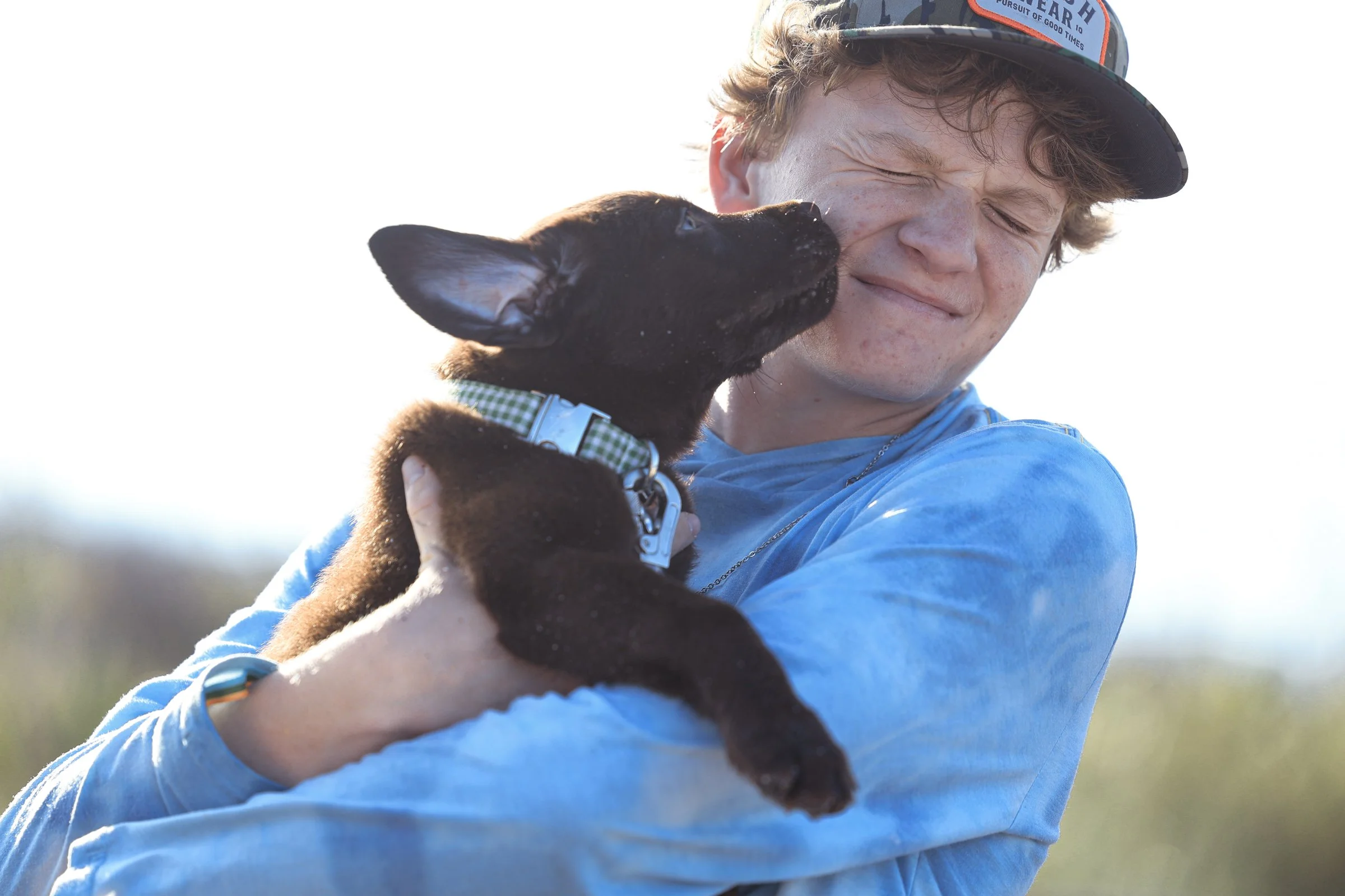 Intuitive Puppy Training