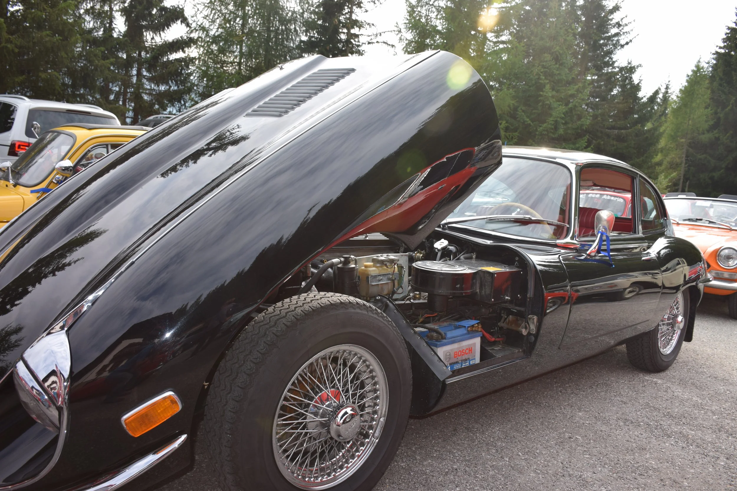 DSC_0175.JPG