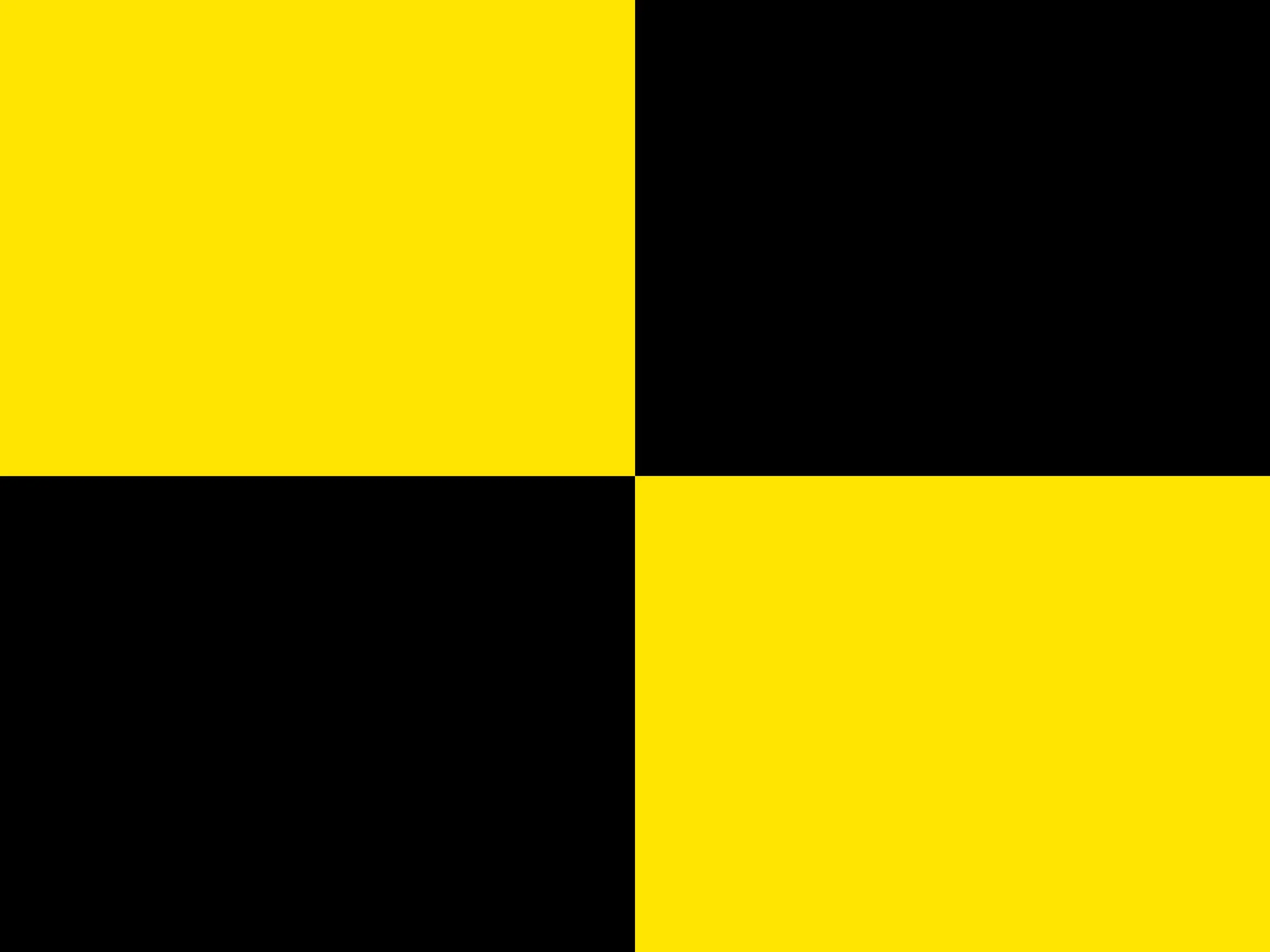 TRWC_FLAGS_800x600mm7.jpg