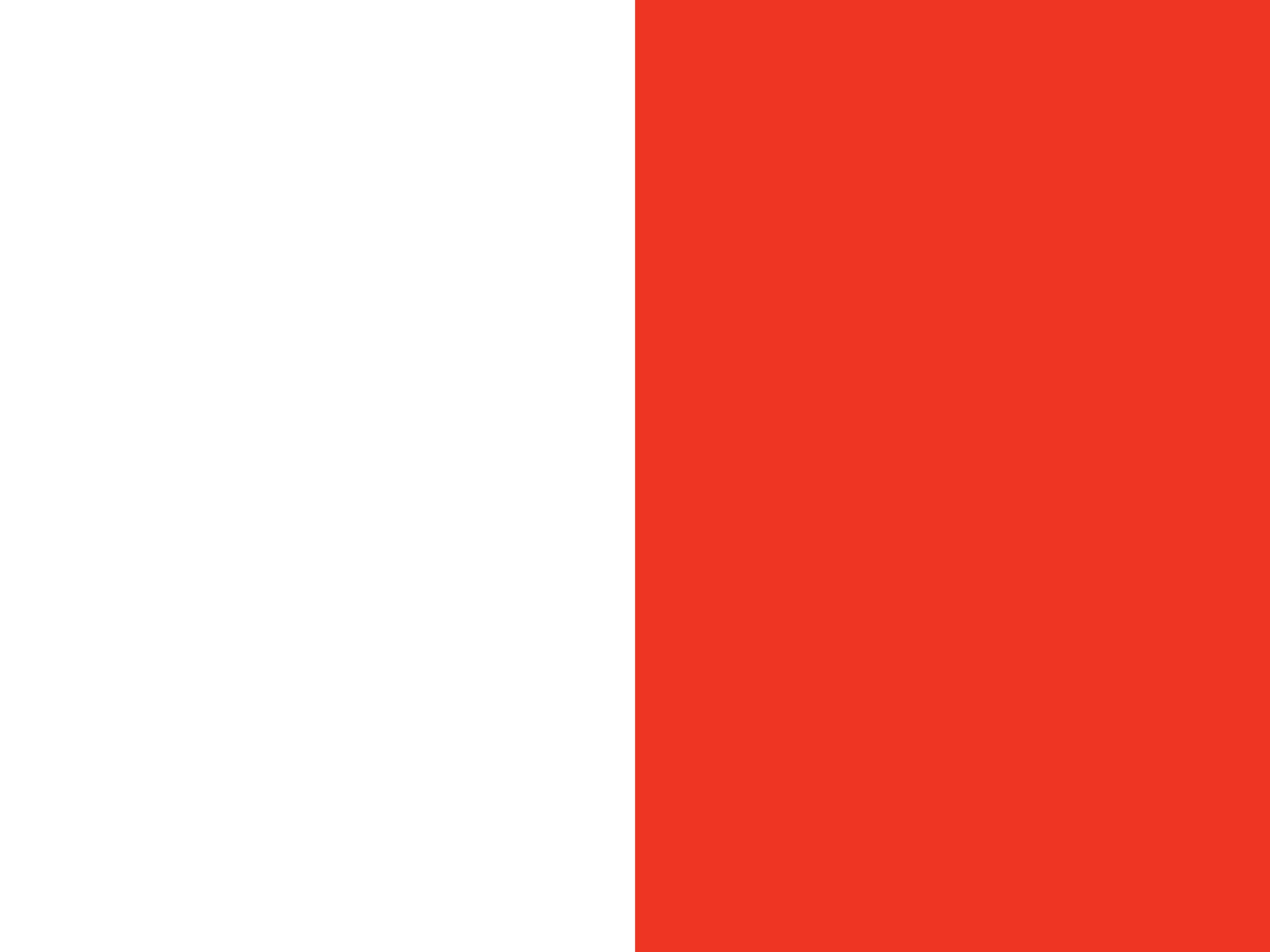 TRWC_FLAGS_800x600mm13.jpg