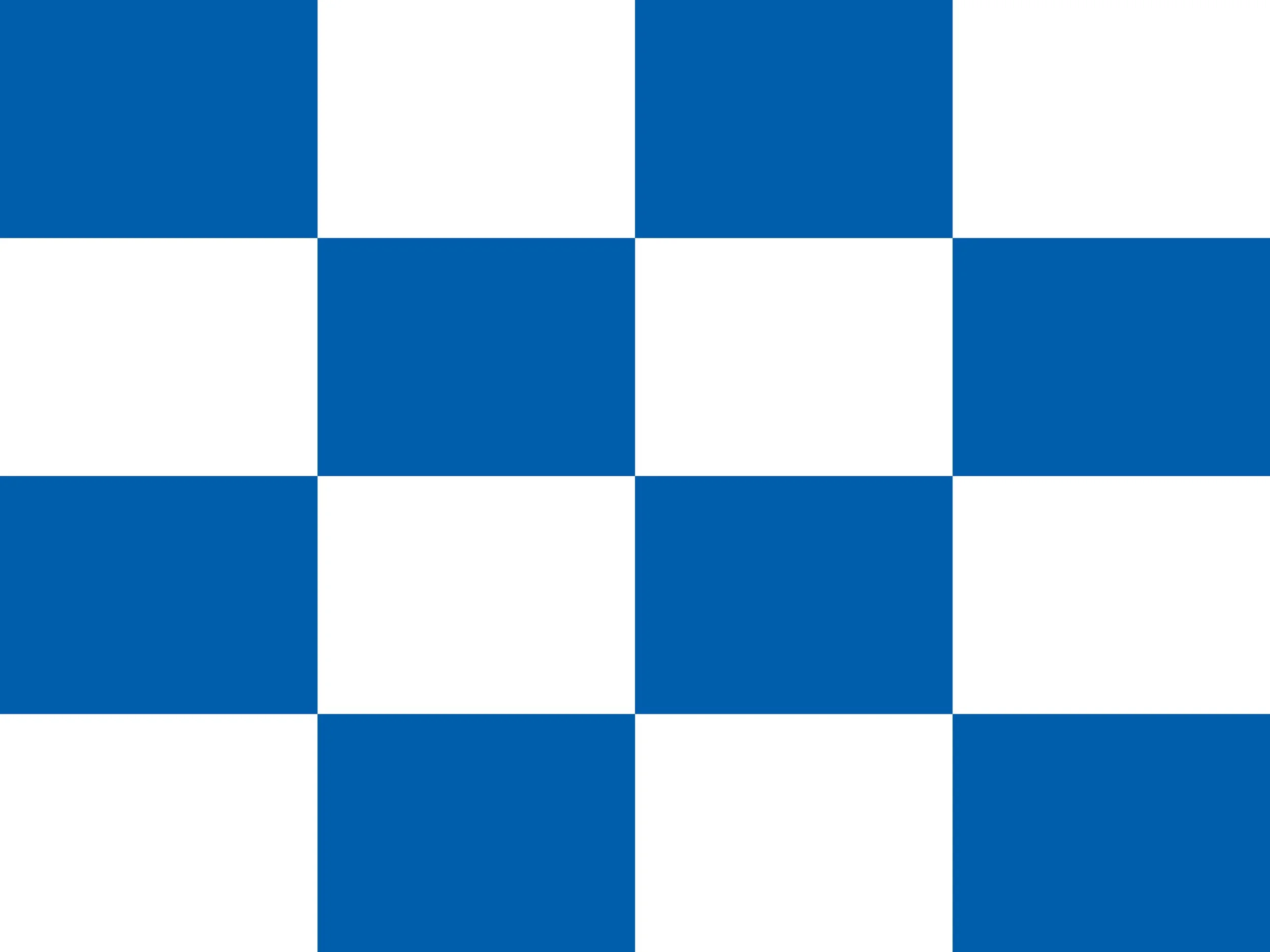 TRWC_FLAGS_800x600mm8.jpg