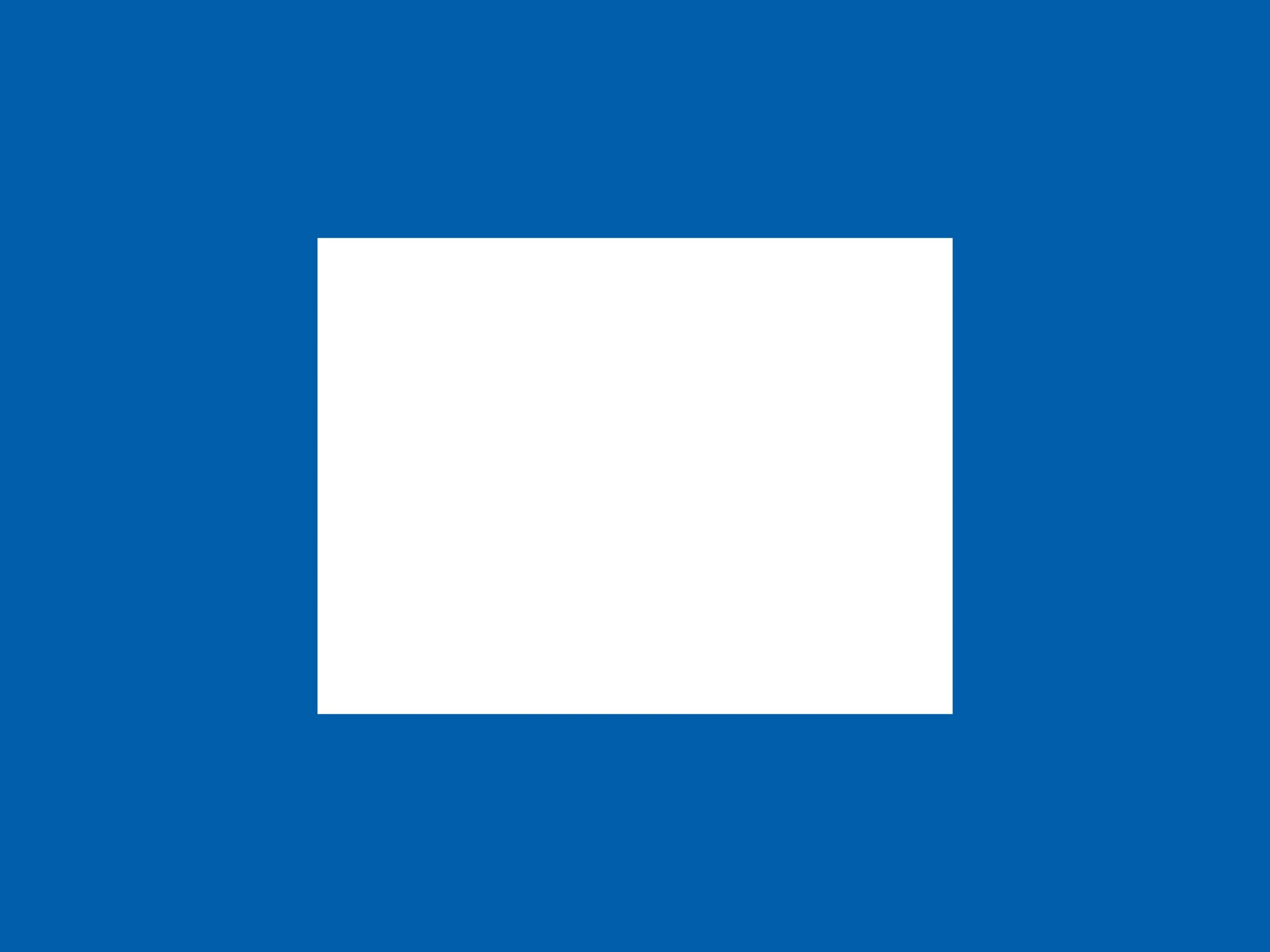 TRWC_FLAGS_800x600mm4.jpg
