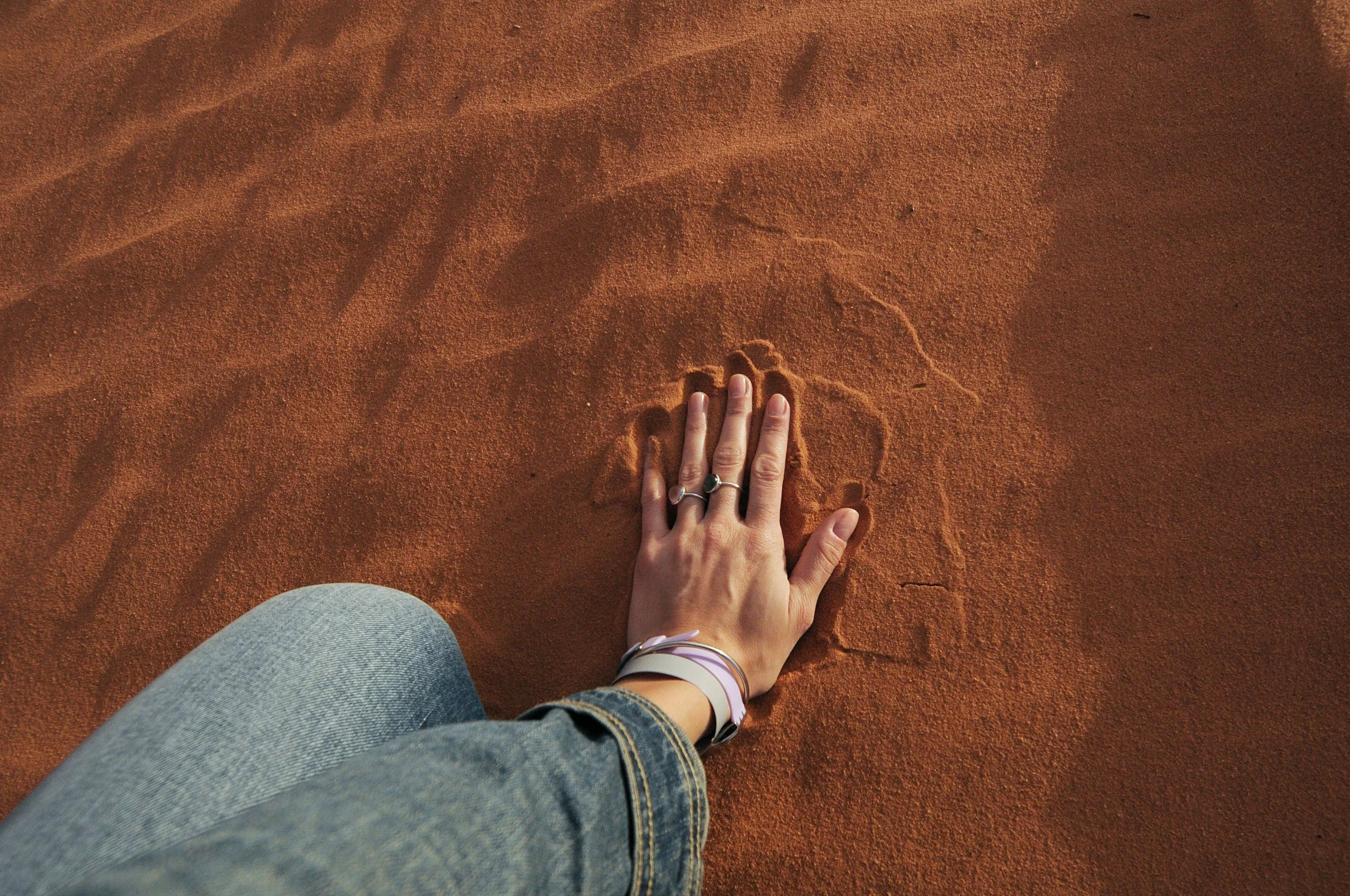 Orienting: The First Step in Somatic Experiencing