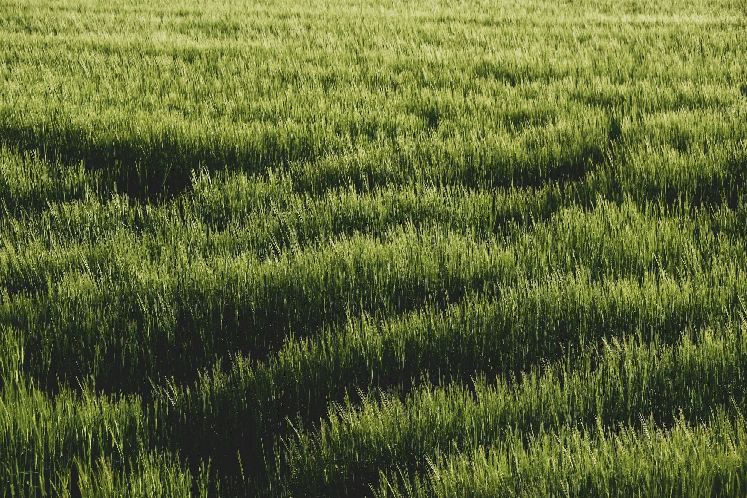 Why Summer Doesn't Always Feel Relaxing