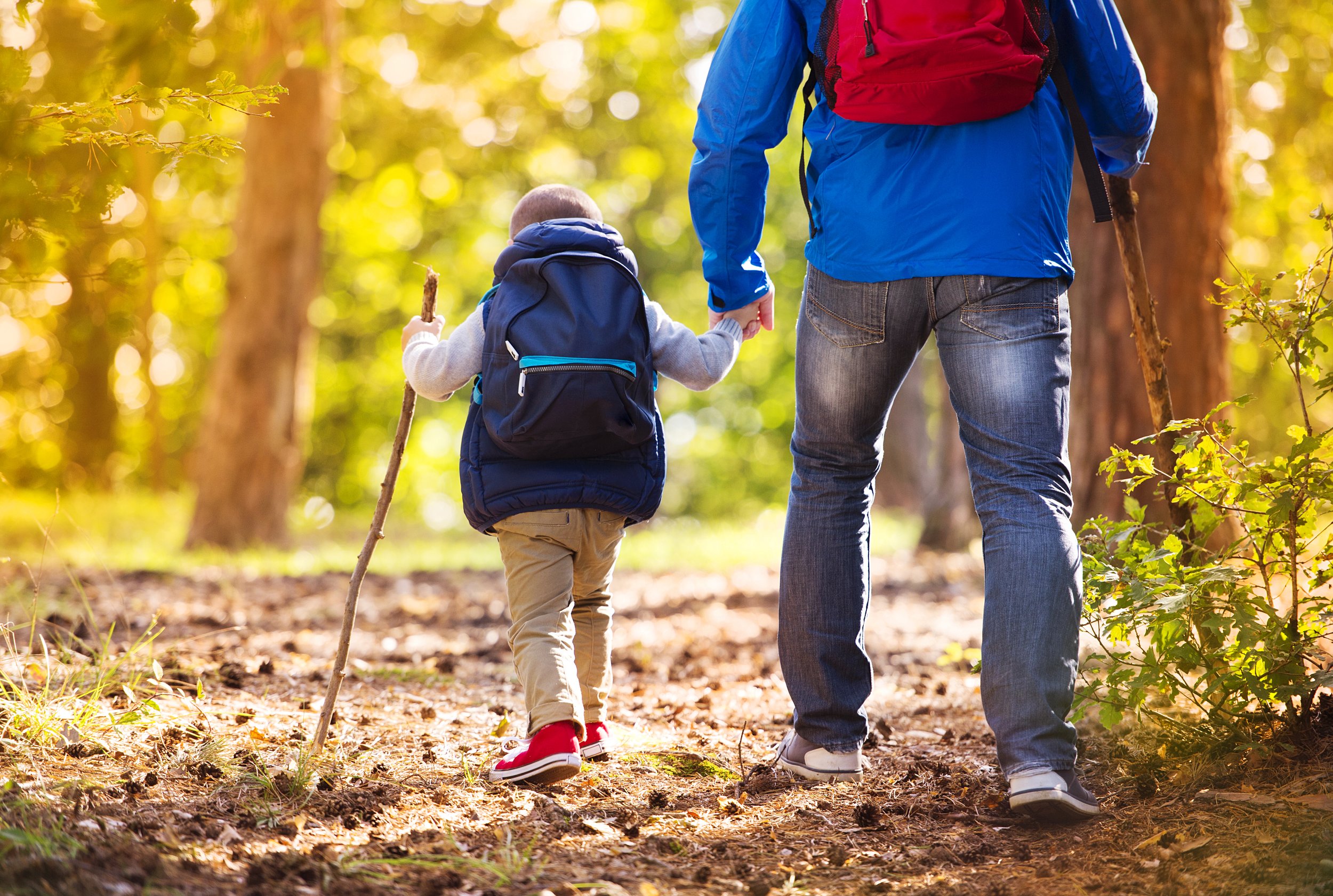 An adult and a child holding hands while hiking through a forest, with trees and sunlight in the background.