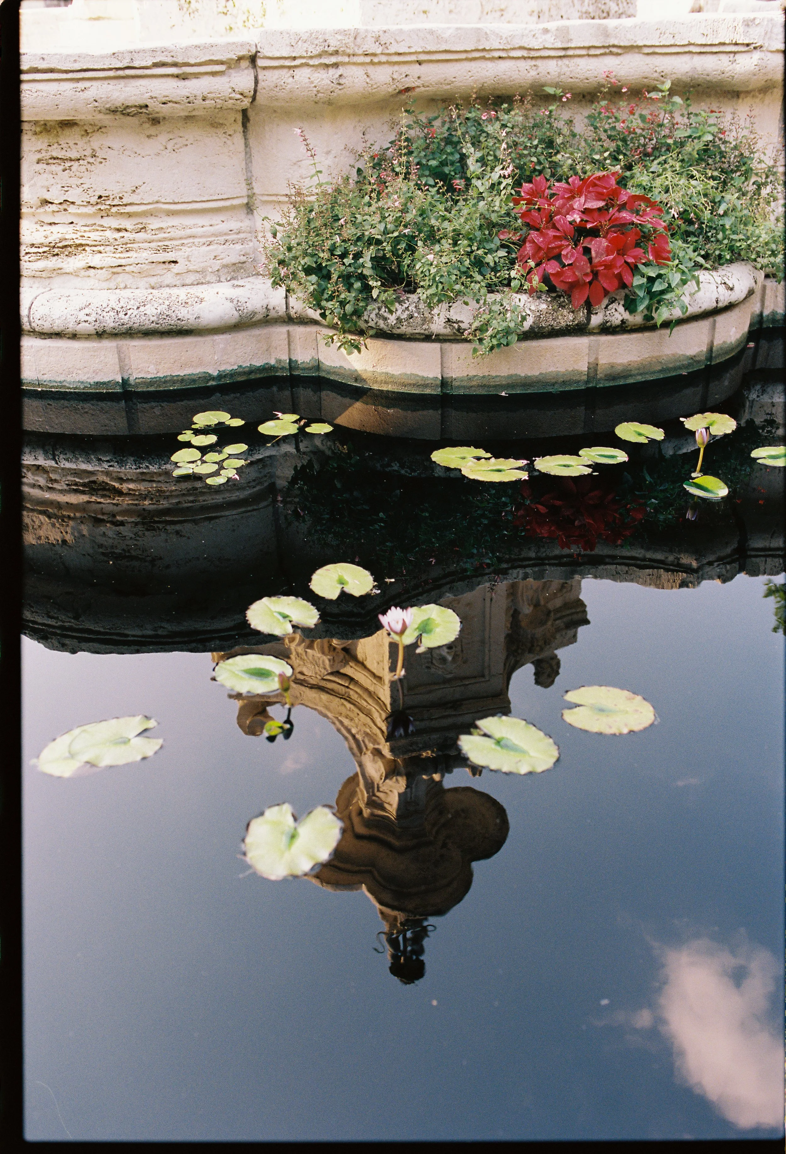 Lily pads floating in a reflective garden pond with historic architecture mirrored in the water at Vizcaya Museum and Gardens wedding venue in Miami. (Copy)