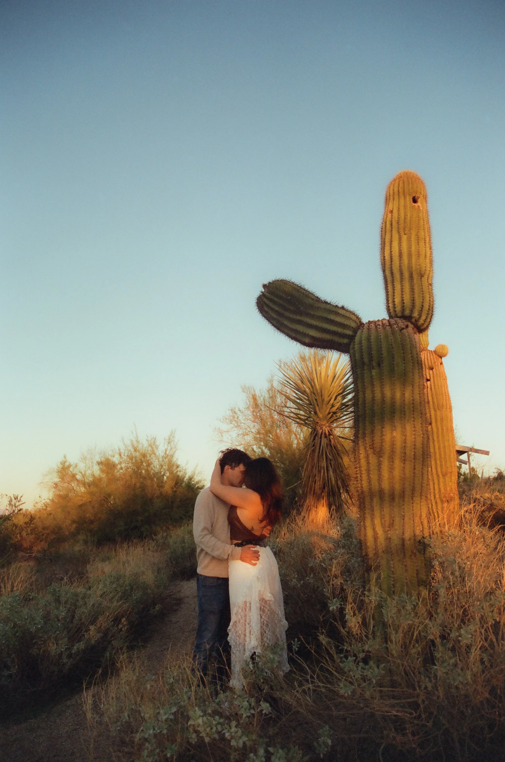 Romantic moment of a couple embracing among desert cacti at sunset, surrounded by warm golden tones.