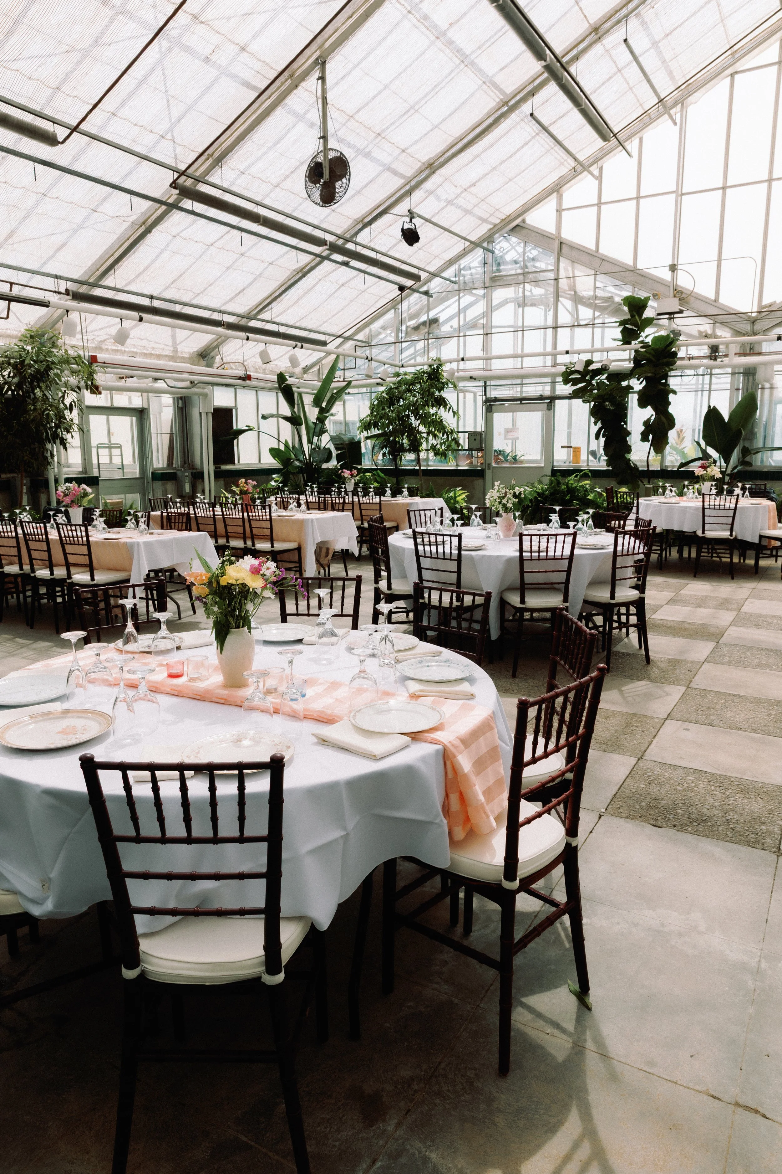 Reception space set inside a bright greenhouse with round tables, natural light, and elegant place settings