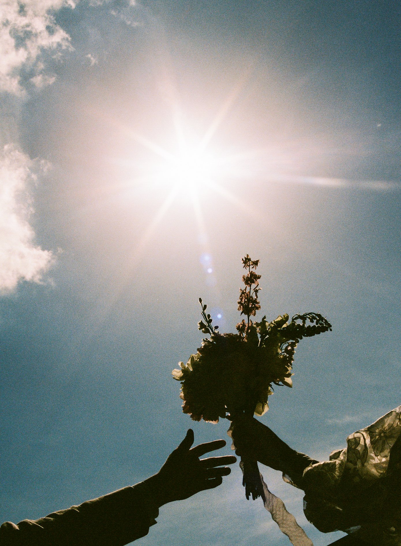 Film Wedding Photography in a Greenhouse: A Cinematic Wedding at MSU Gardens