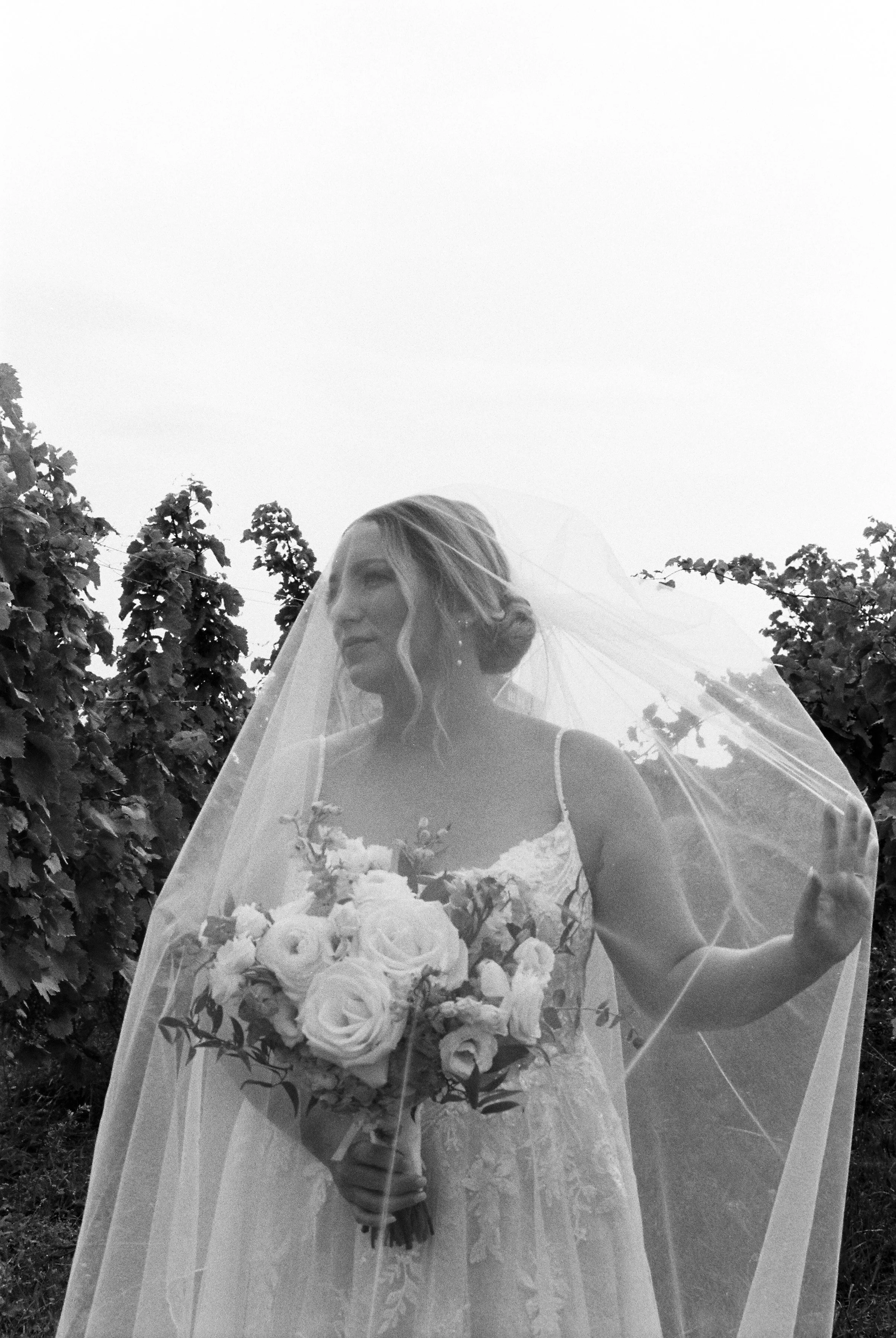 Black-and-white bridal portrait with bouquet and cathedral veil among vineyard rows during a Northern Michigan vineyard wedding.