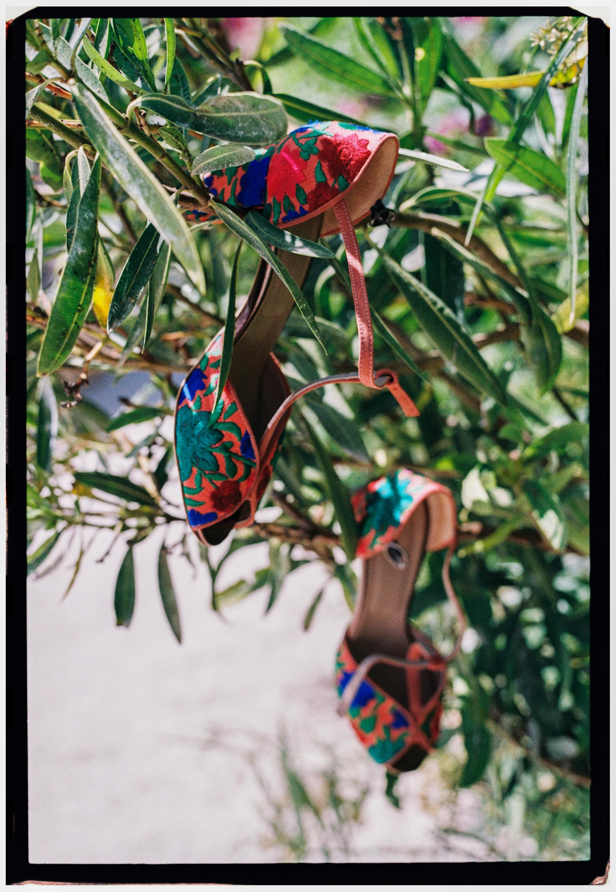 Colorful floral bridal heels hanging from tree branches before the wedding celebration.