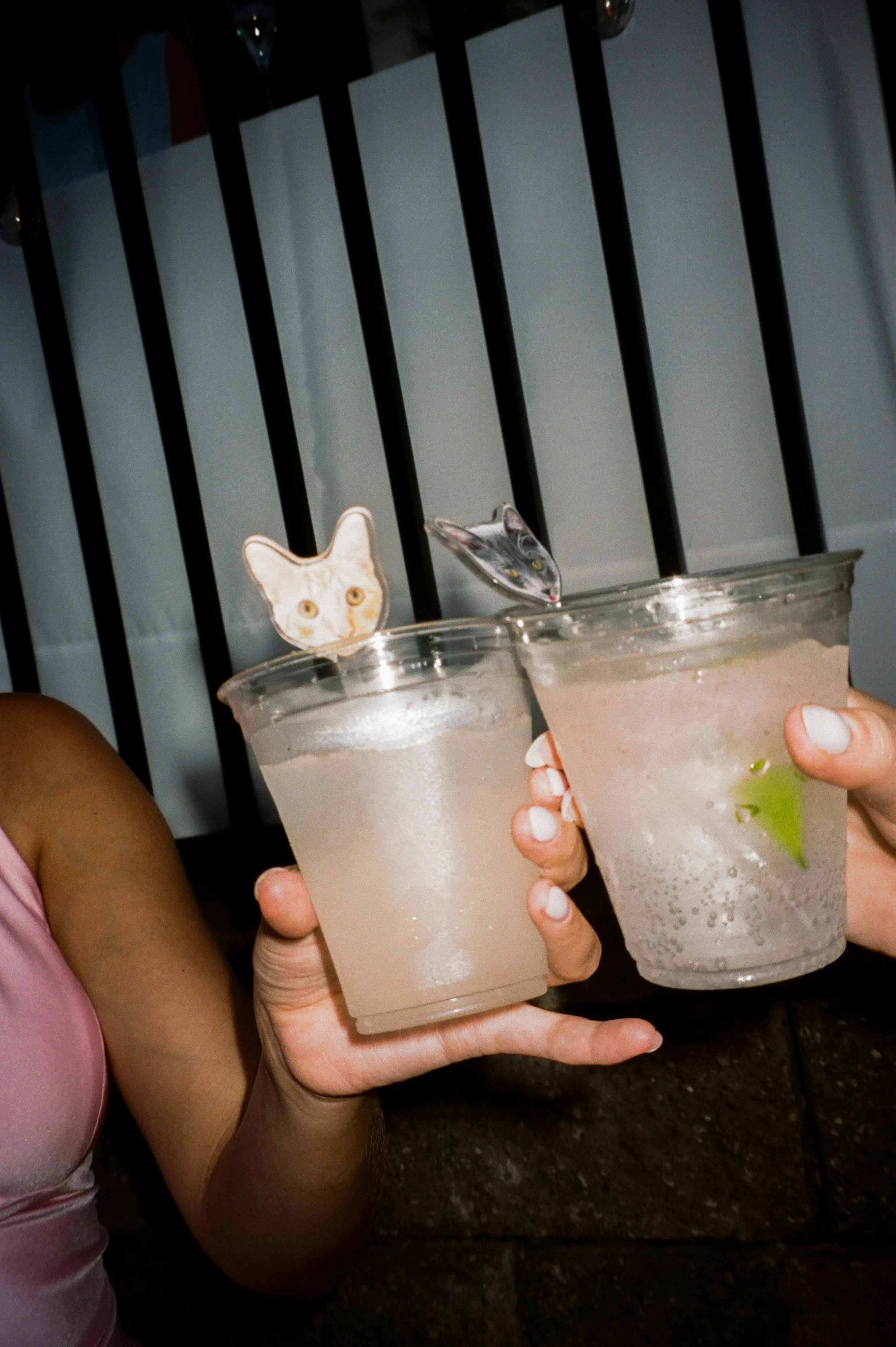 A close up of cocktails with stir sticks that resemble the couples pets.