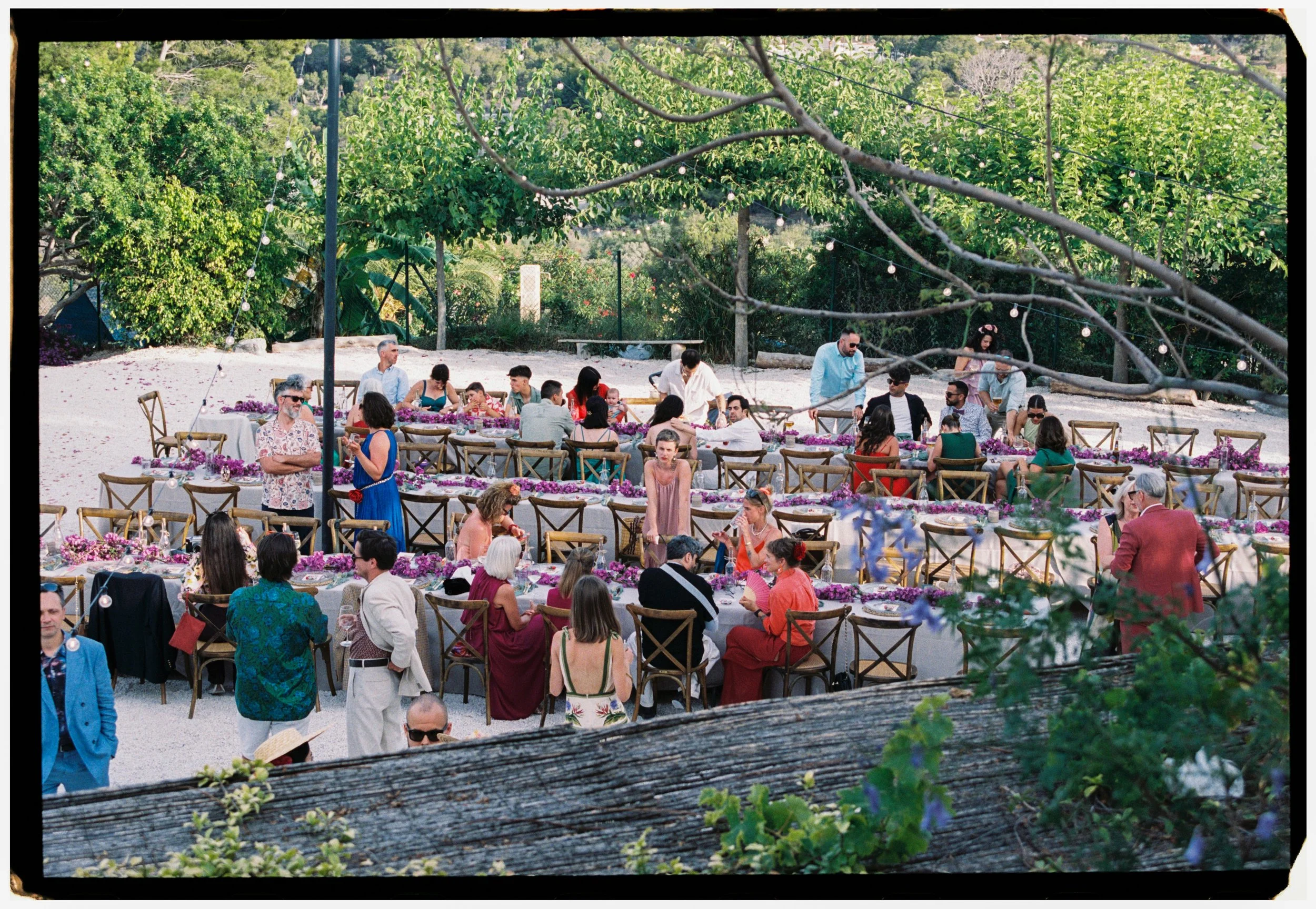 Guests gathering around long reception tables for an alfresco wedding dinner beneath string lights.