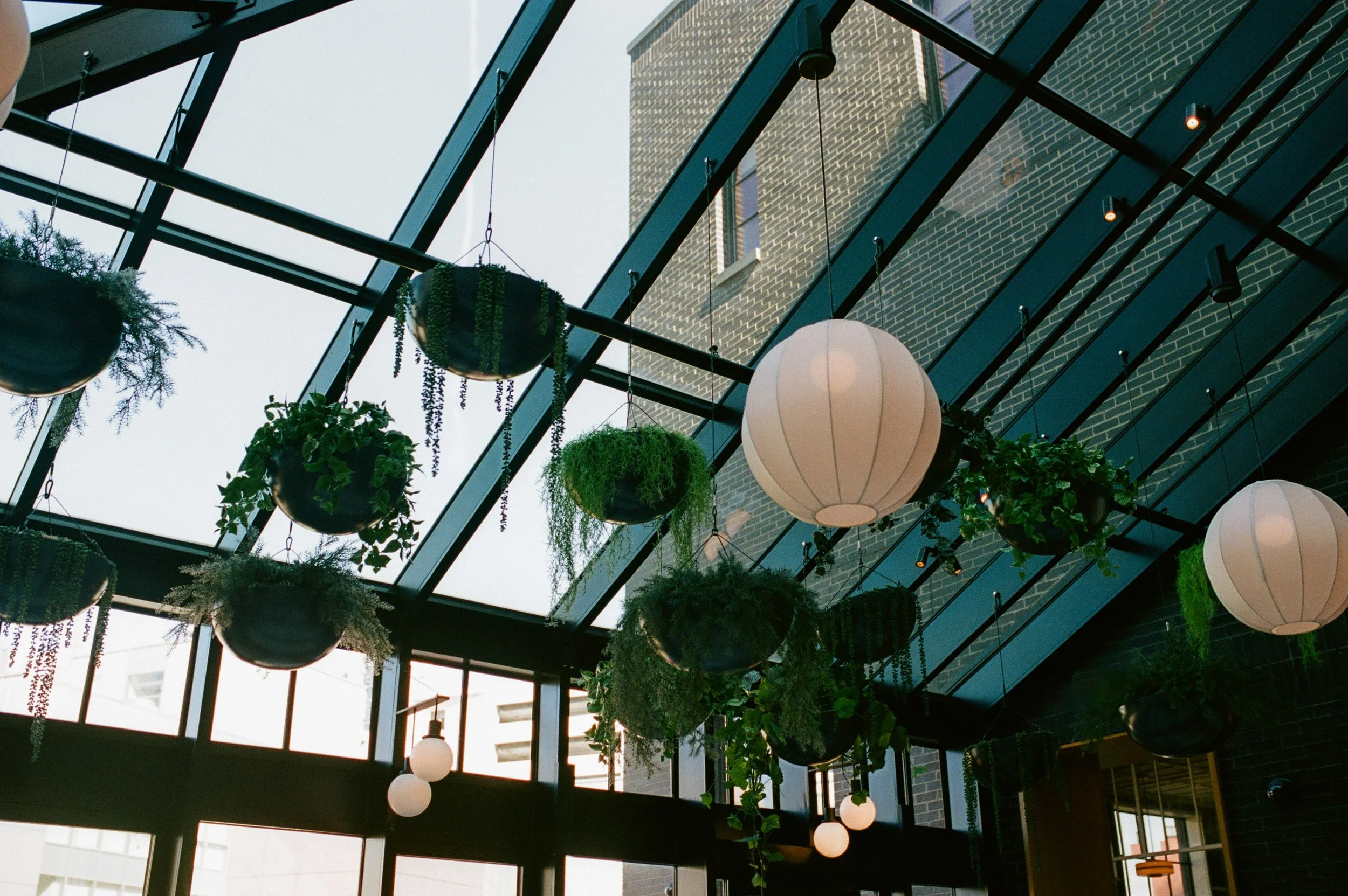 Hanging greenery and globe pendant lights suspended from the glass ceiling inside Shinola Hotel
