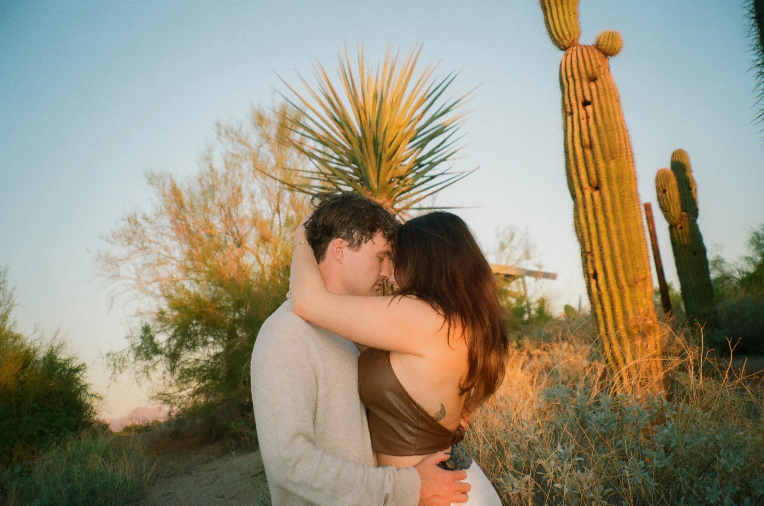 Close-up of a couple embracing in warm desert light, surrounded by cacti and glowing golden tones.