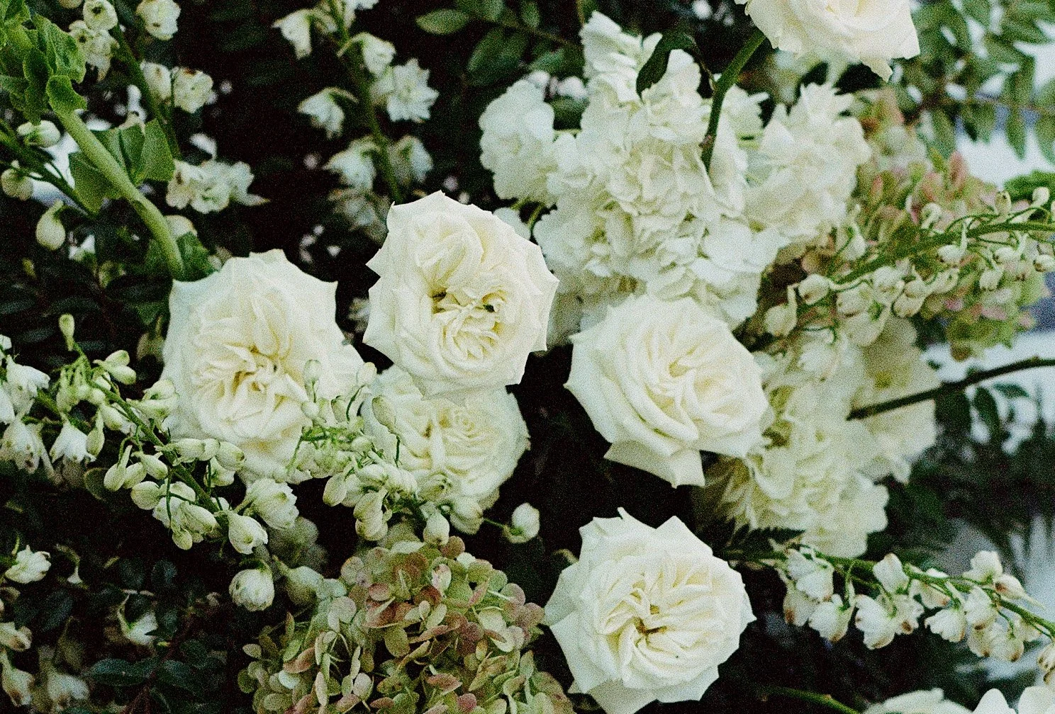 Close-up of white wedding roses and greenery used in the floral design for a Shinola Hotel wedding