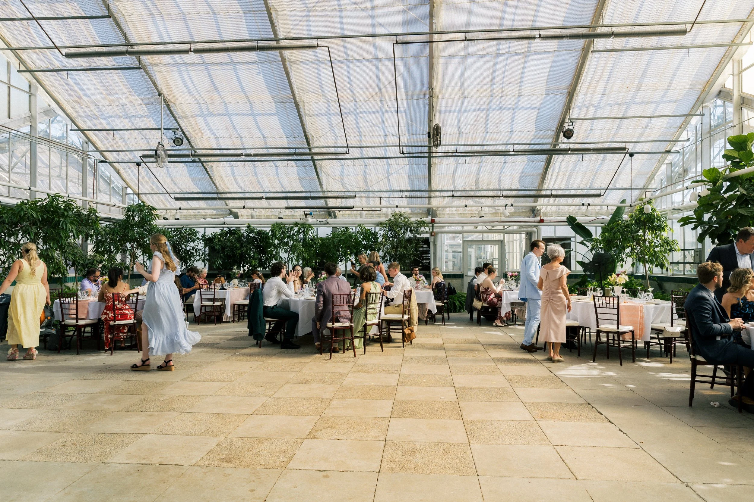 Wide view of guests mingling and dining inside a greenhouse reception space with natural light and greenery