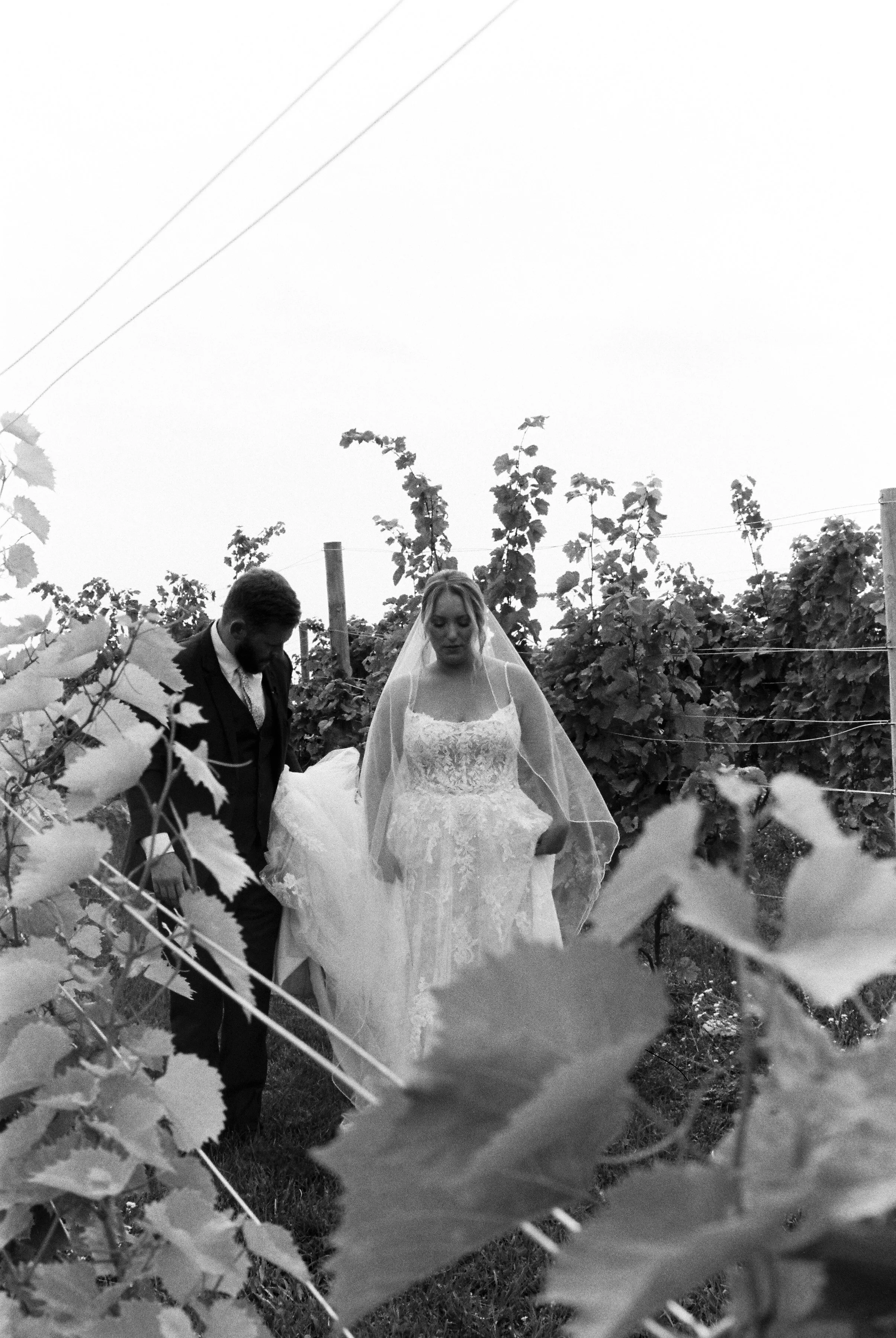 Bride and groom walking through vineyard rows together during a candid moment on their wedding day in Northern Michigan wine country.