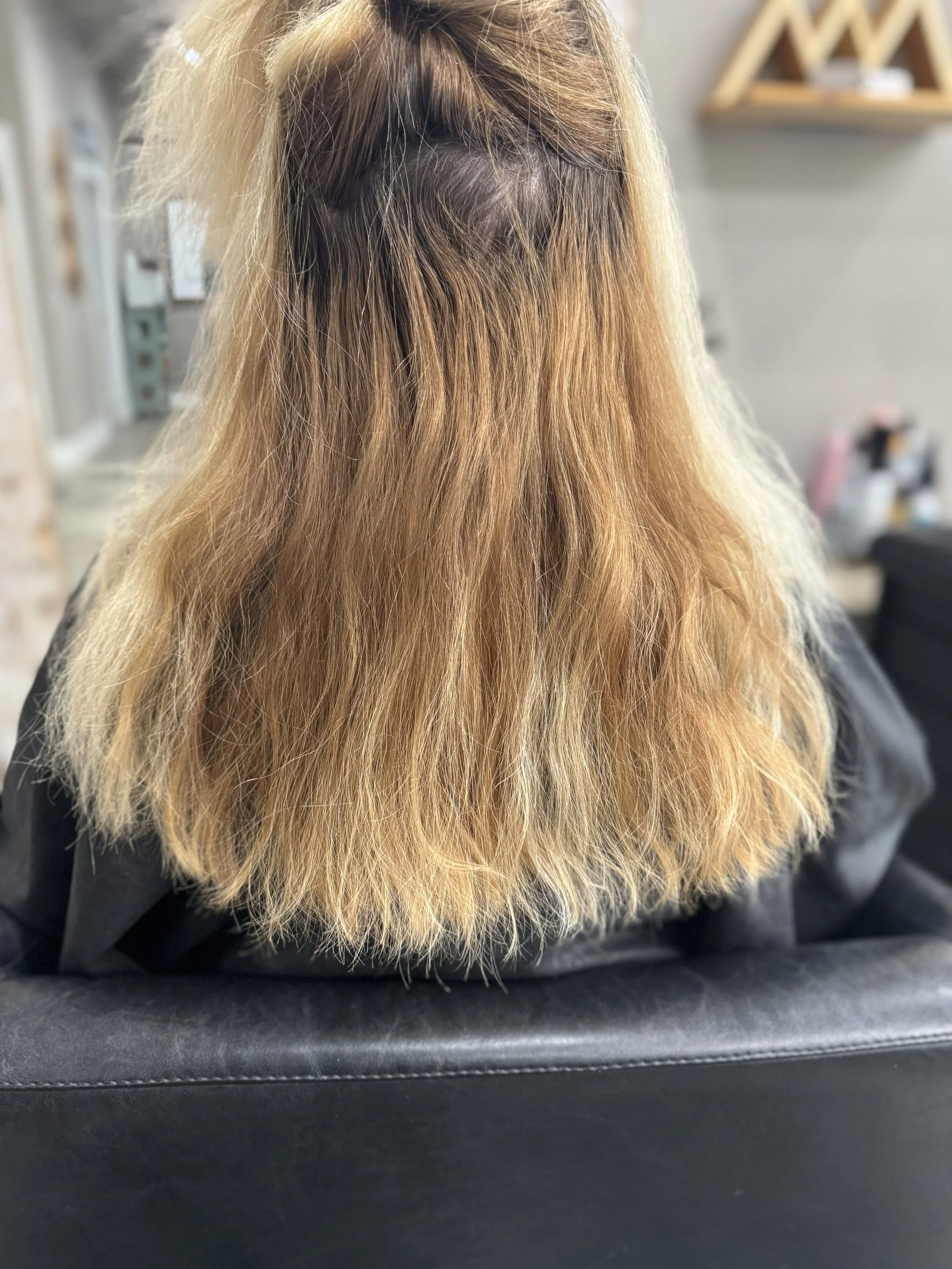 Before transformation: Back view of a person with shoulder-length, frizzy, light brown hair, sitting in a salon chair with a black cape.