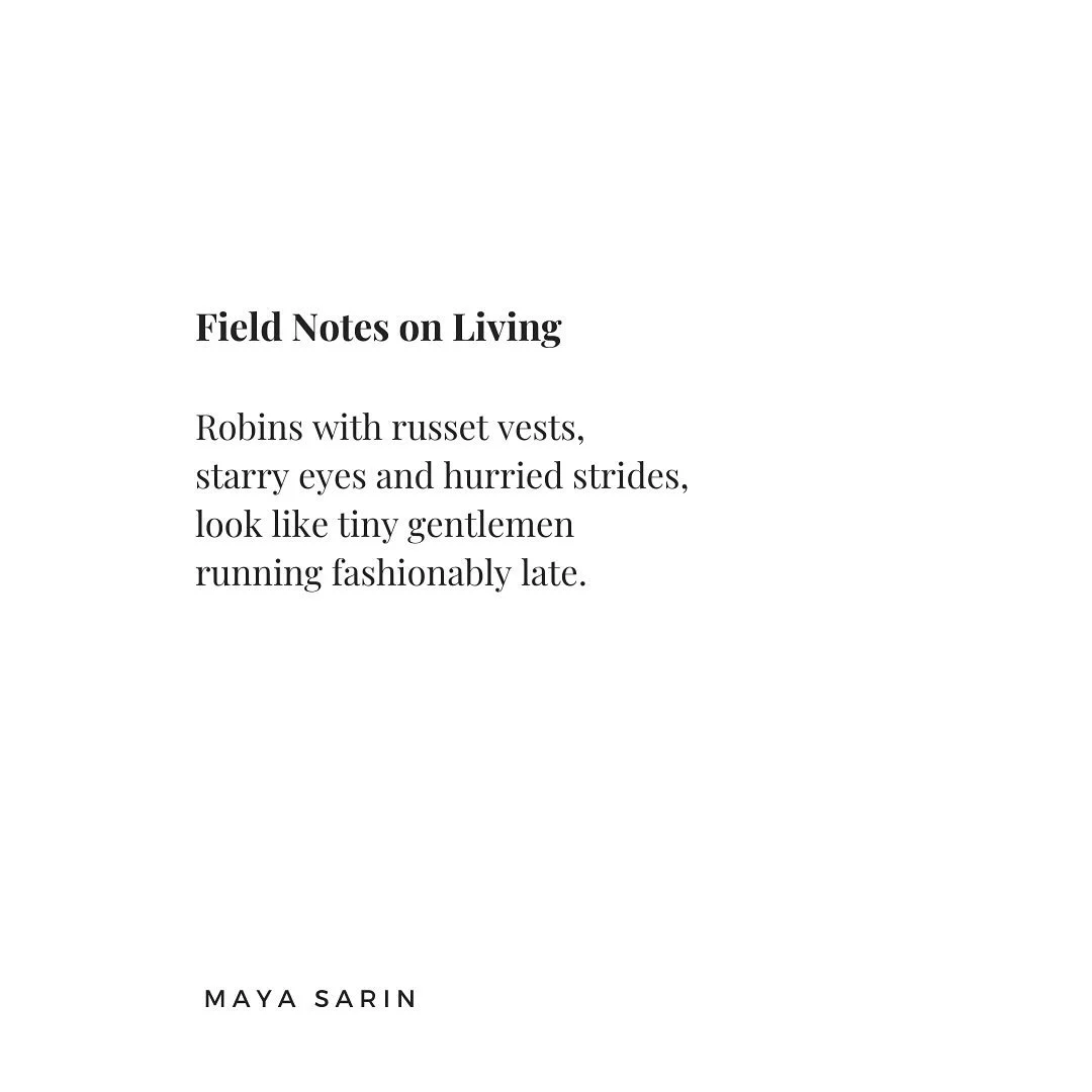 The world is always offering us its wisdom&mdash;in feathers, stillness, and flight. All we need to do is stop and look. 👀 

This will be my last poem here for a while&hellip;hope to return soon!
