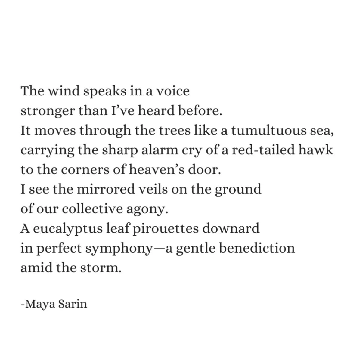 The world feels heavier&mdash;storms louder, grief close at hand. Yet beauty persists. Awe is always within reach.
.
.
.
.
.
.
#poetofinsta #poetryinstagram #indiepoet #poetry #poetrydaily