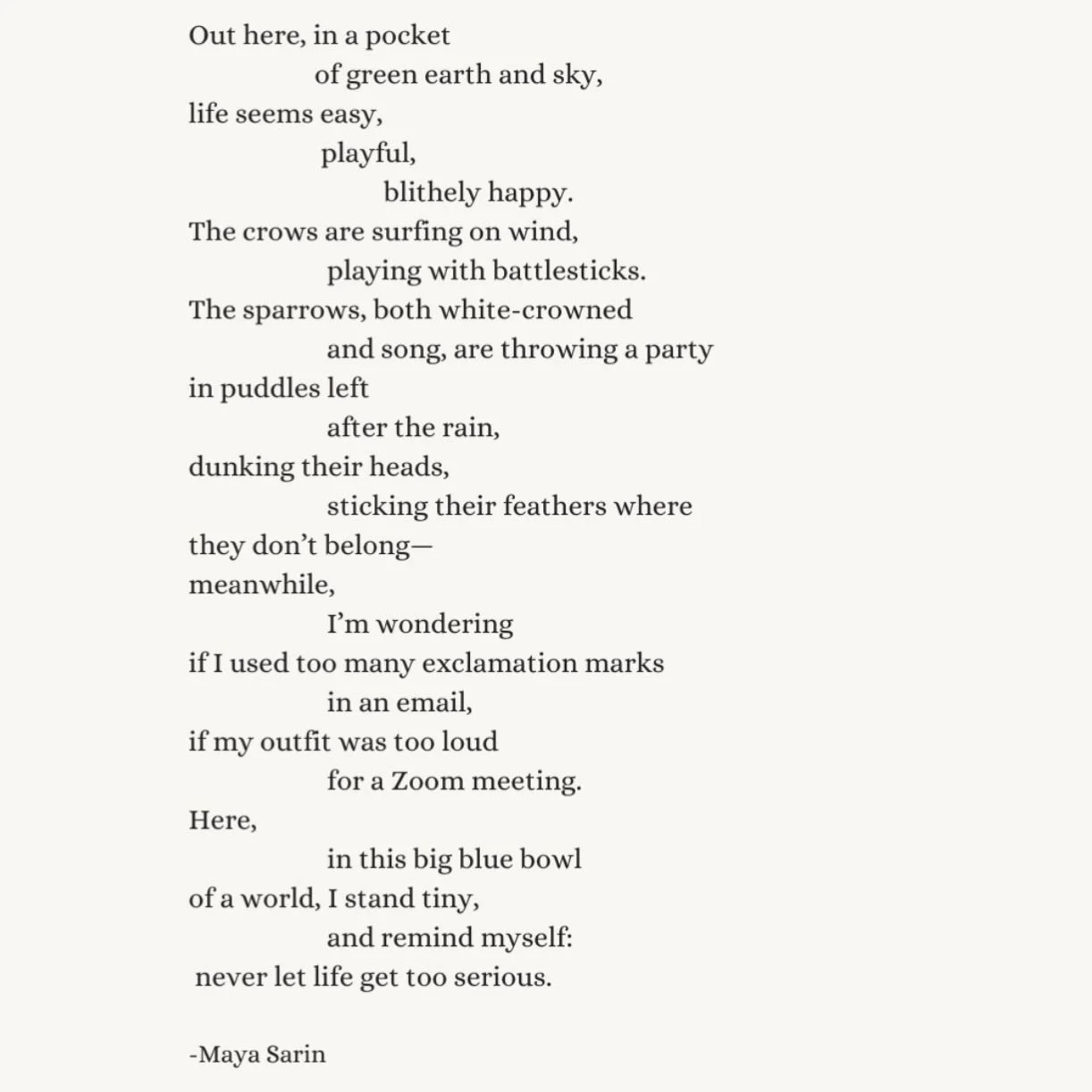 May we always remember to loosen our grip and let a little of the birds&rsquo; blithe joy enter our days. To remember that even in uncertain times, life continues to sing and circle overhead, inviting us to join the play. ✨