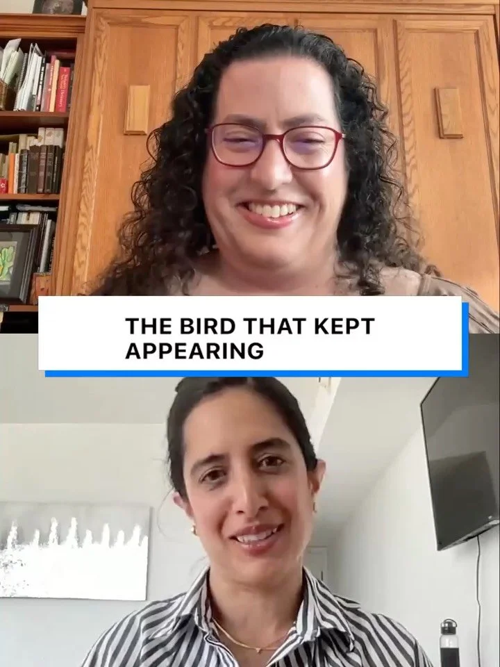 A clip from Saturday&rsquo;s live with @rosemarysdesena on how the scrub jay, a spirit guide, played an integral part in my healing journey during illness and, in part, inspired my book Ultraviolet 💜 Swipe through for one of the poems from the book 