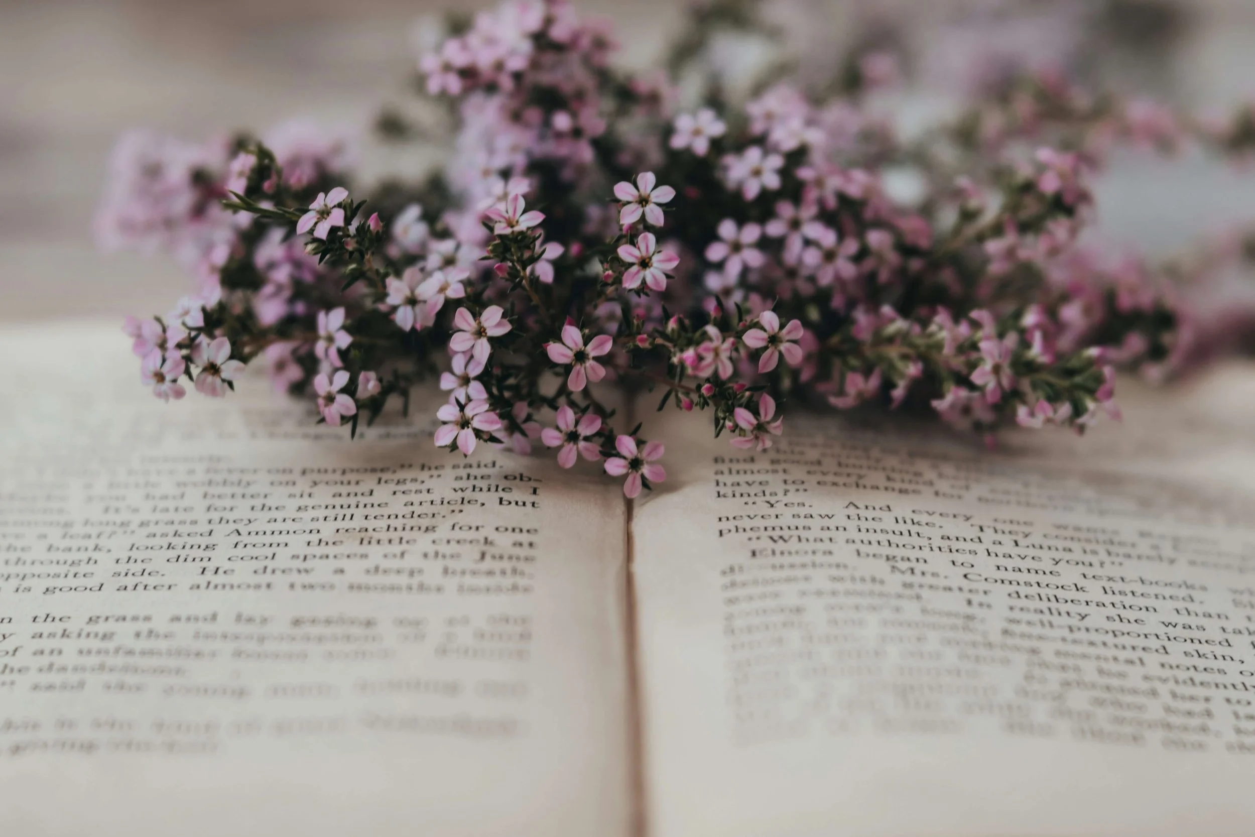 A bunch of small pink and white flowers resting on an open book with visible text.