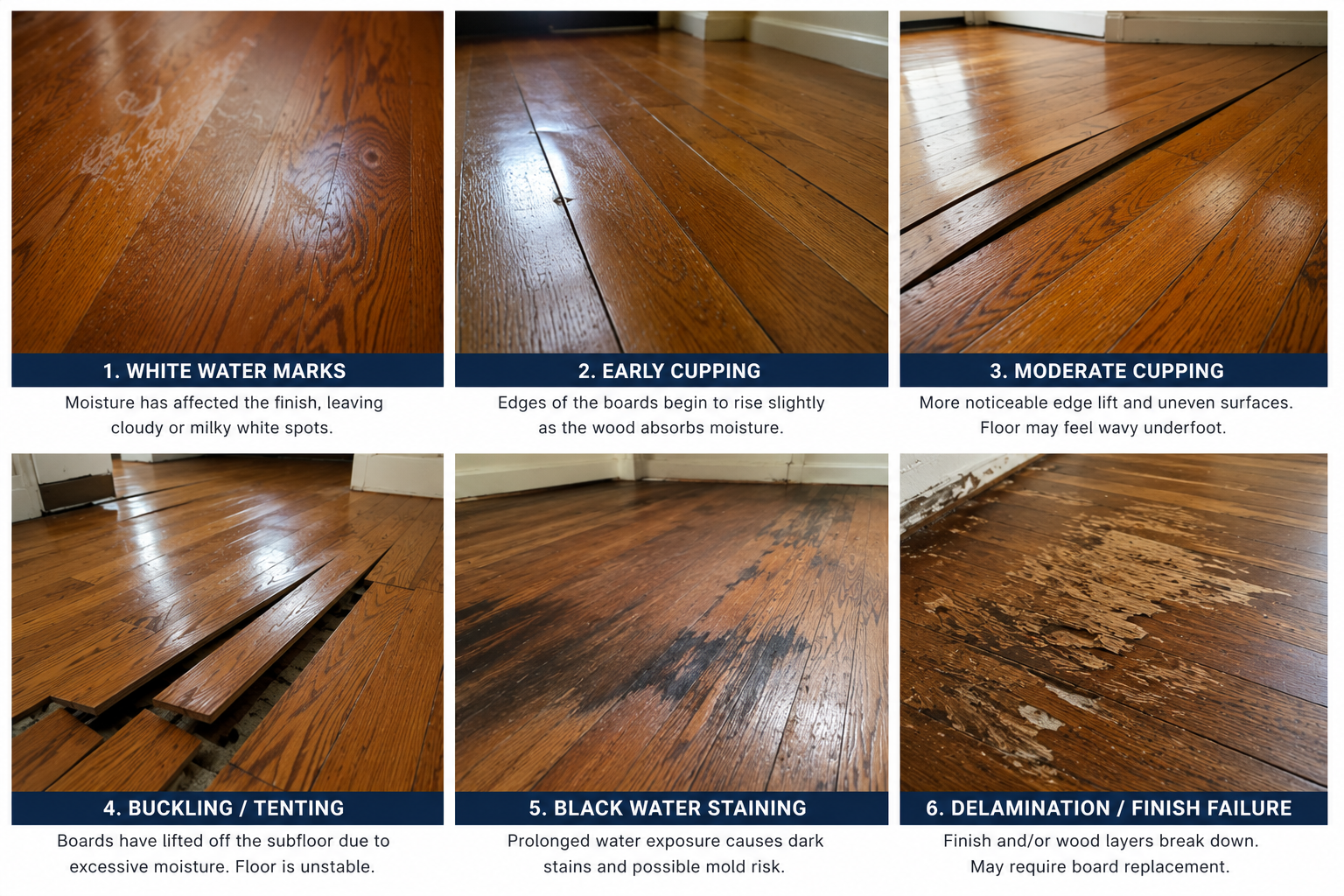 Guide showing different stages of hardwood floor damage and issues, including white water marks, early cupping, moderate cupping, buckling, black water staining, and finish failure.