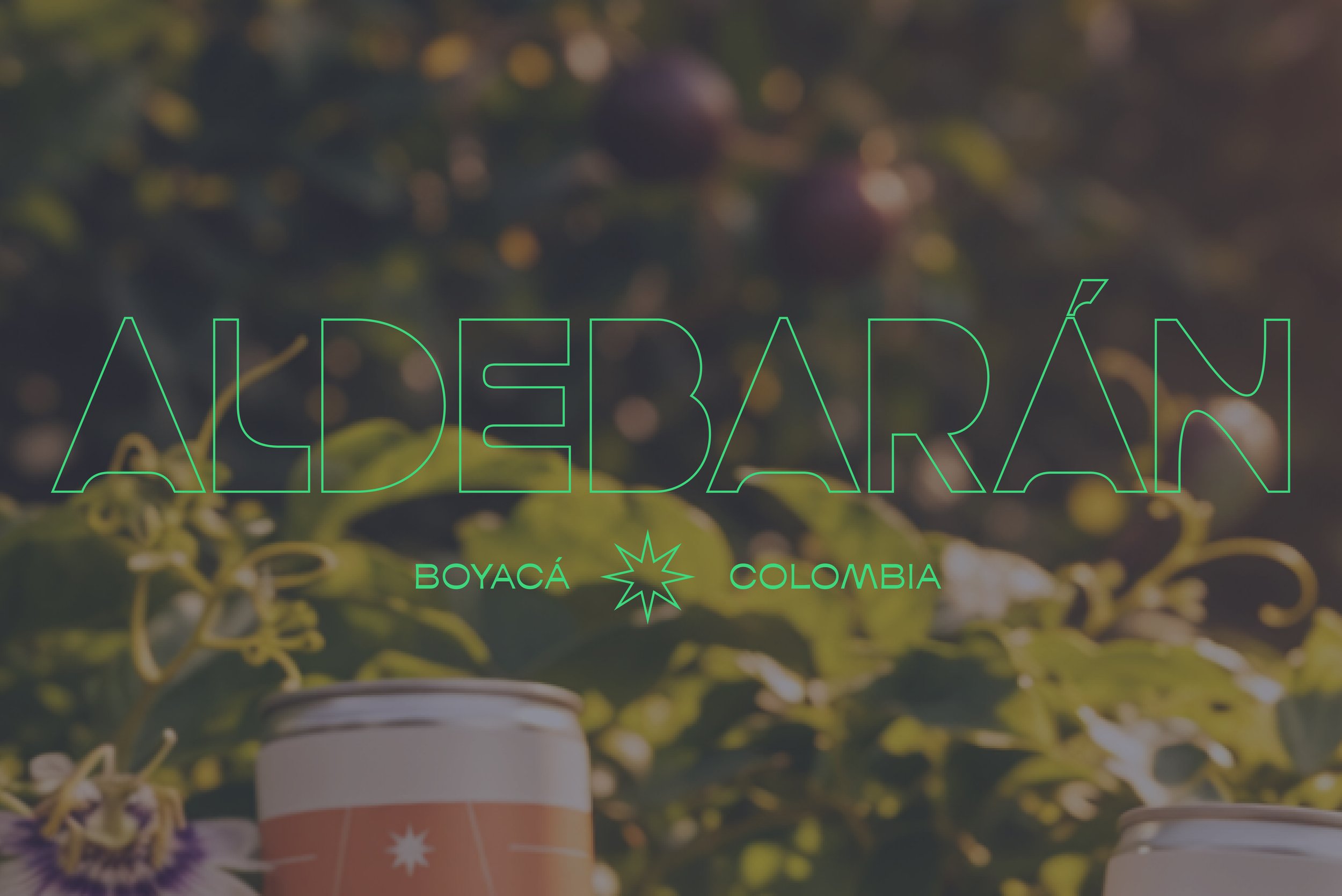 Blurred background of coffee cans and green leaves with yellow flowers, overlaid with neon green text that reads 'Alderbán' with smaller text below saying 'Boyacá' and 'Colombia' separated by a star-shaped symbol.