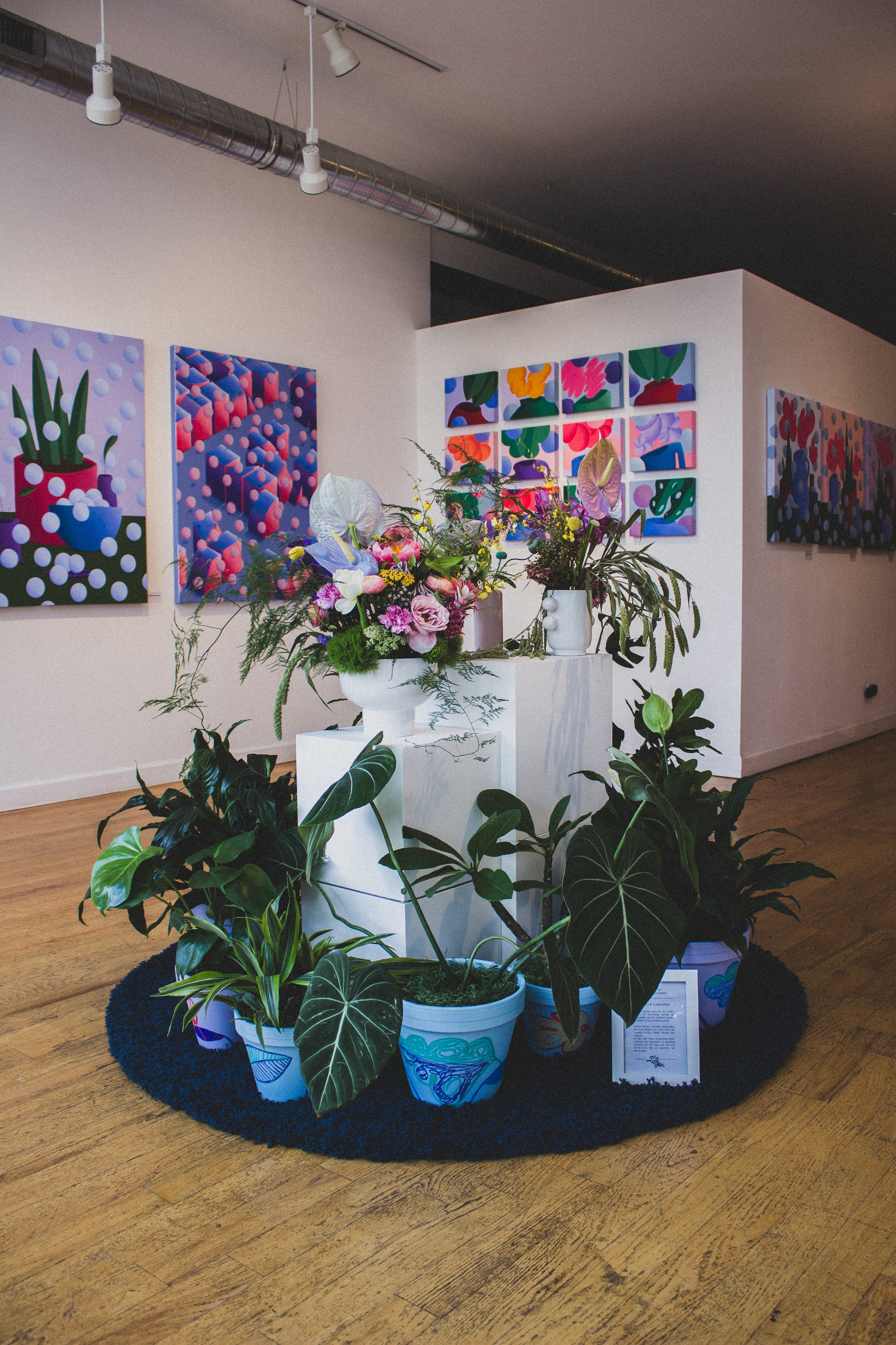 An art exhibit featuring colorful abstract paintings on the walls and a floral arrangement with green plants in decorative pots on a black circular rug.