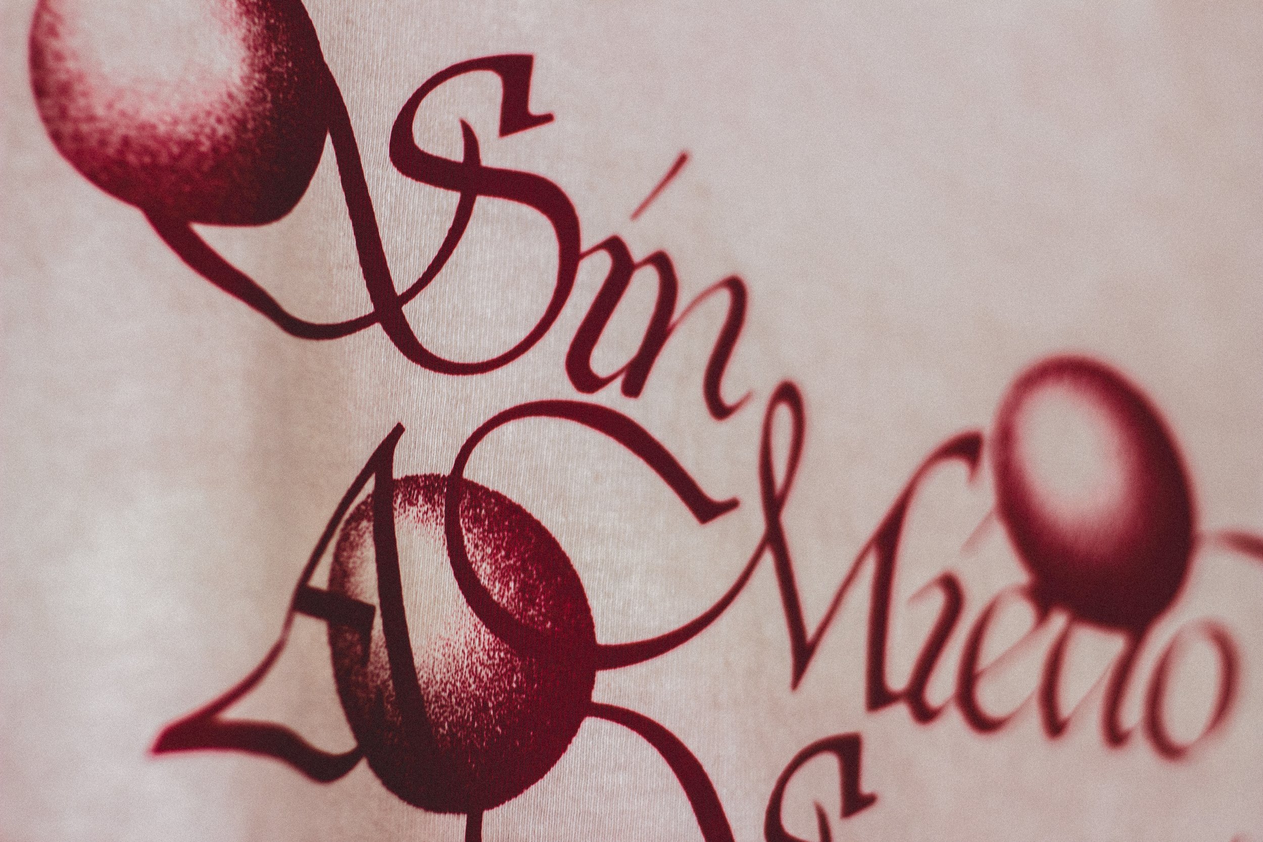 Close-up of a printed design with the words 'Dolce Miezo' in red cursive font and two cherries, one in the top left and one in the bottom right.