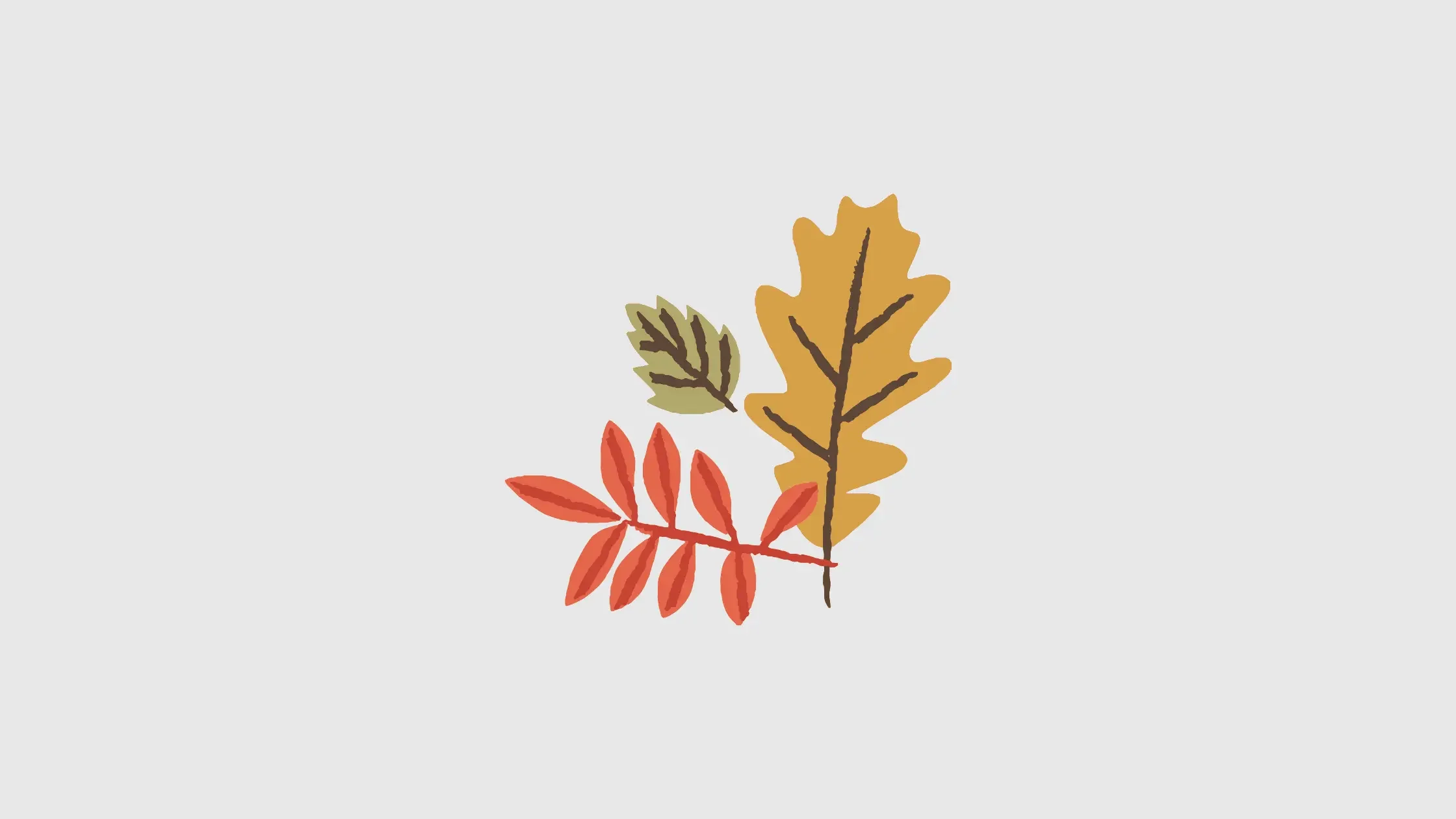 Autumn leaves representing the passing of time and reflection of the year and ongoing support with family.