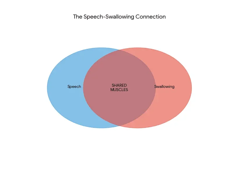 Diagram showing shared muscles involved in speech and swallowing, explaining why Parkinson’s disease often affects both functions