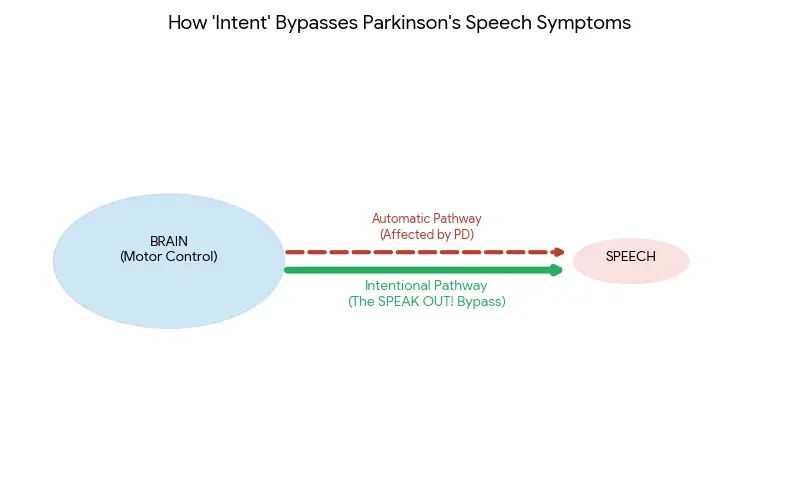 Diagram illustrating how intentional speech pathways can bypass Parkinson’s-affected automatic motor speech pathways