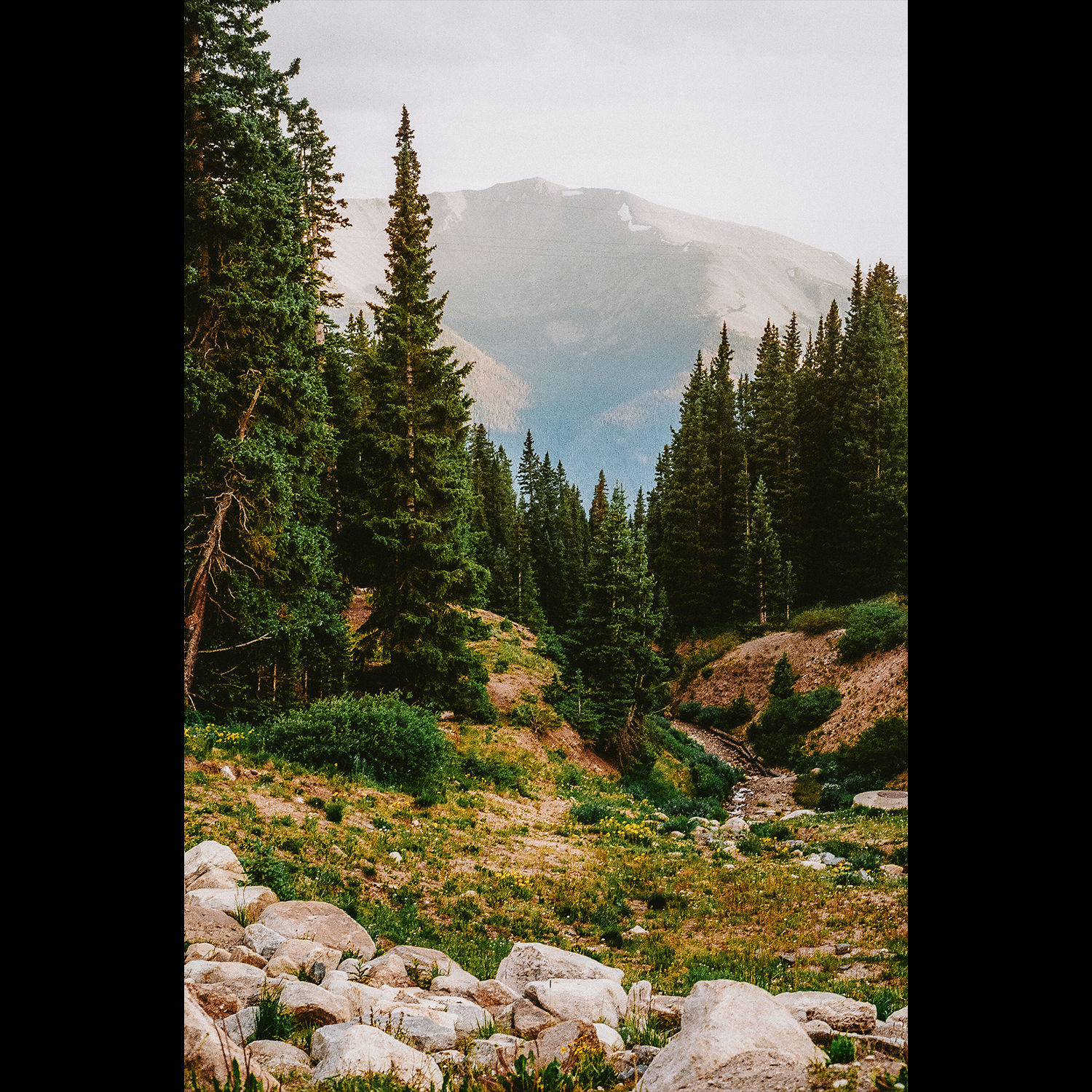 Atop the Pass