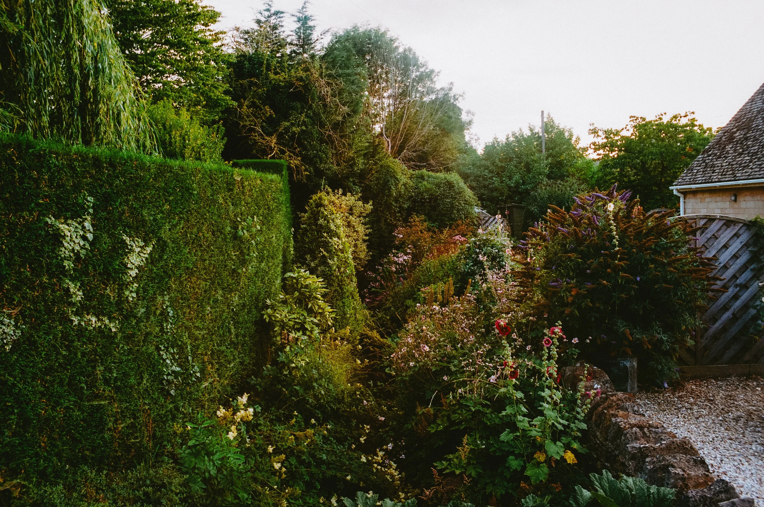thecotswoldsonfilm2026-000588490002.jpg