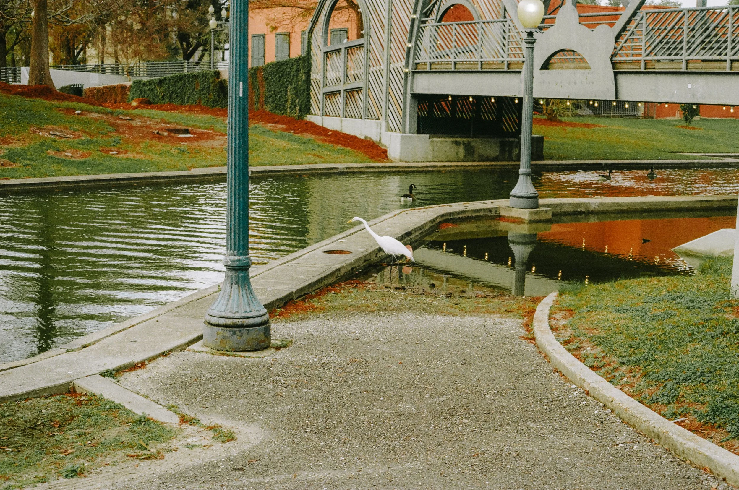 NOLA2025onfilm-000315290014.jpg