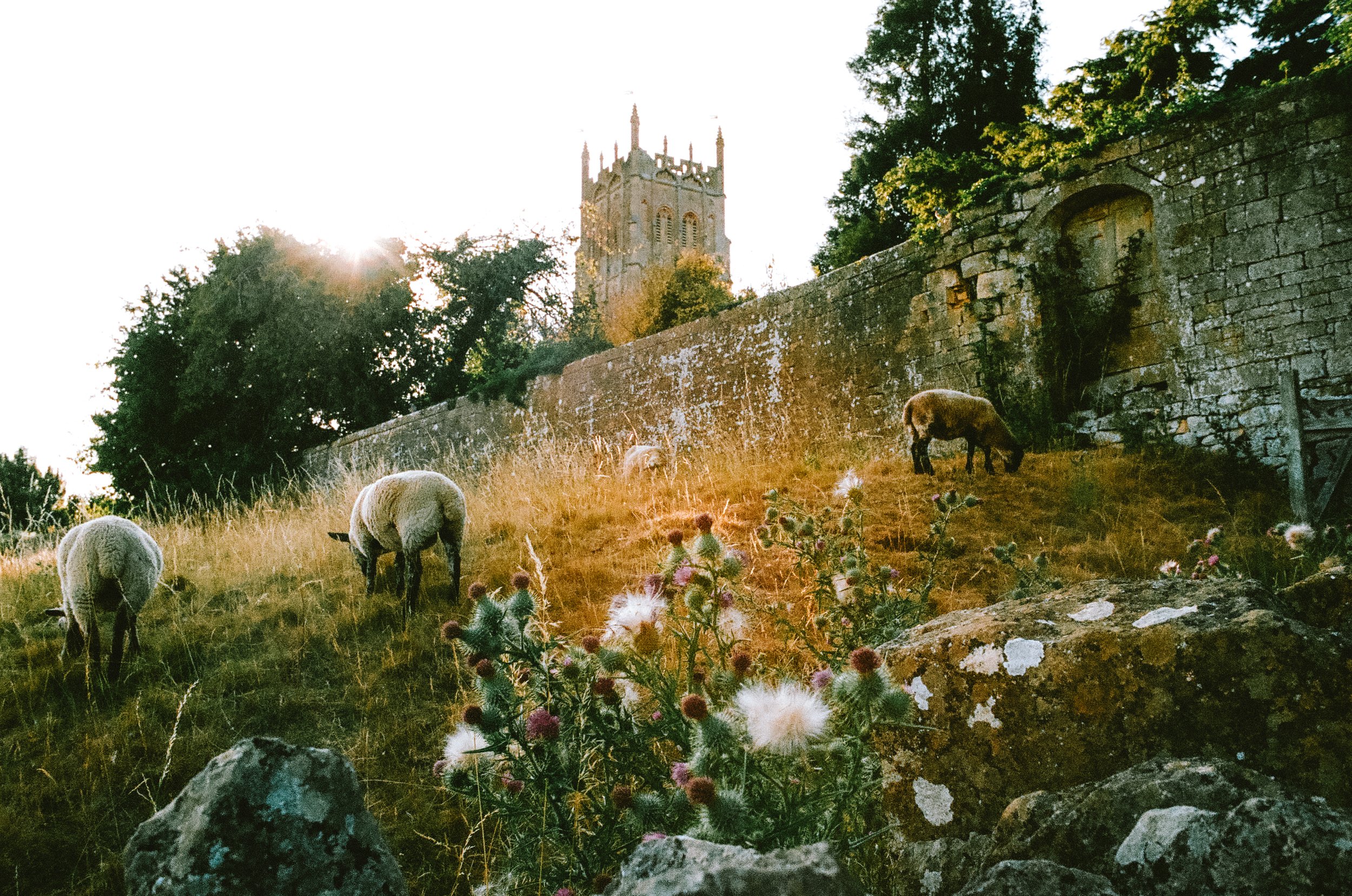 thecotswoldsonfilm2026-000588510027.jpg