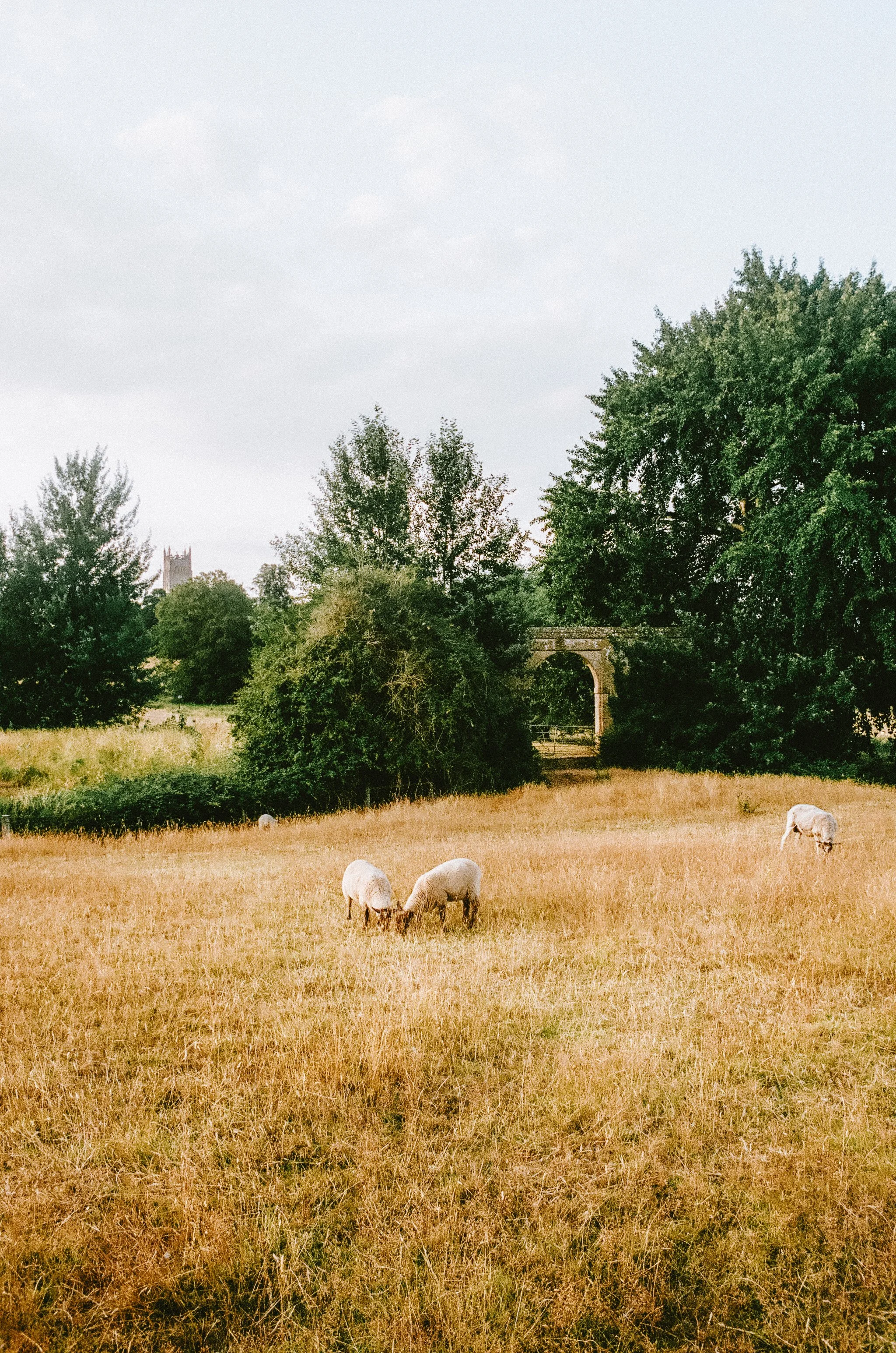 thecotswoldsonfilm2026-000588490007.jpg