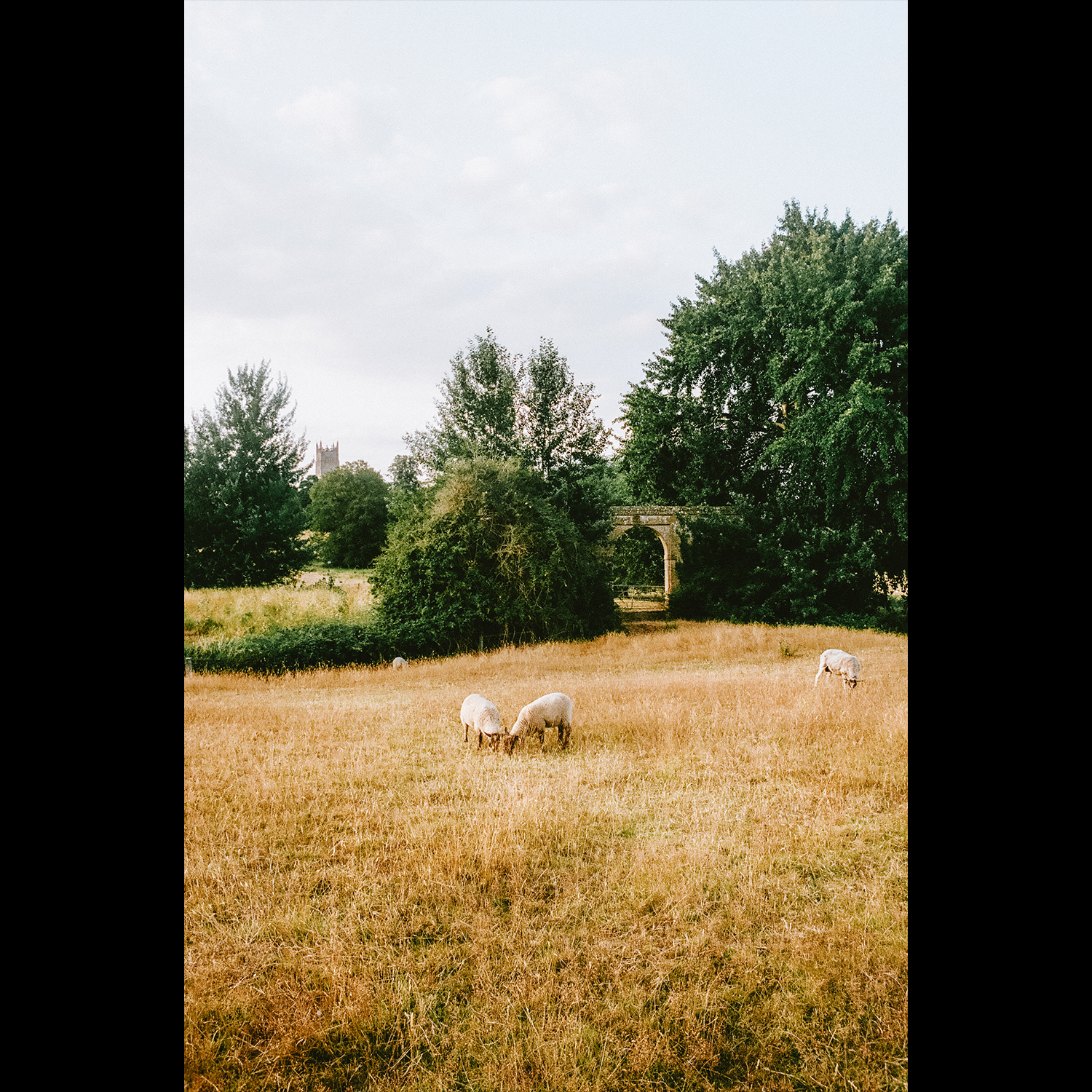 Chipping Campden Fields