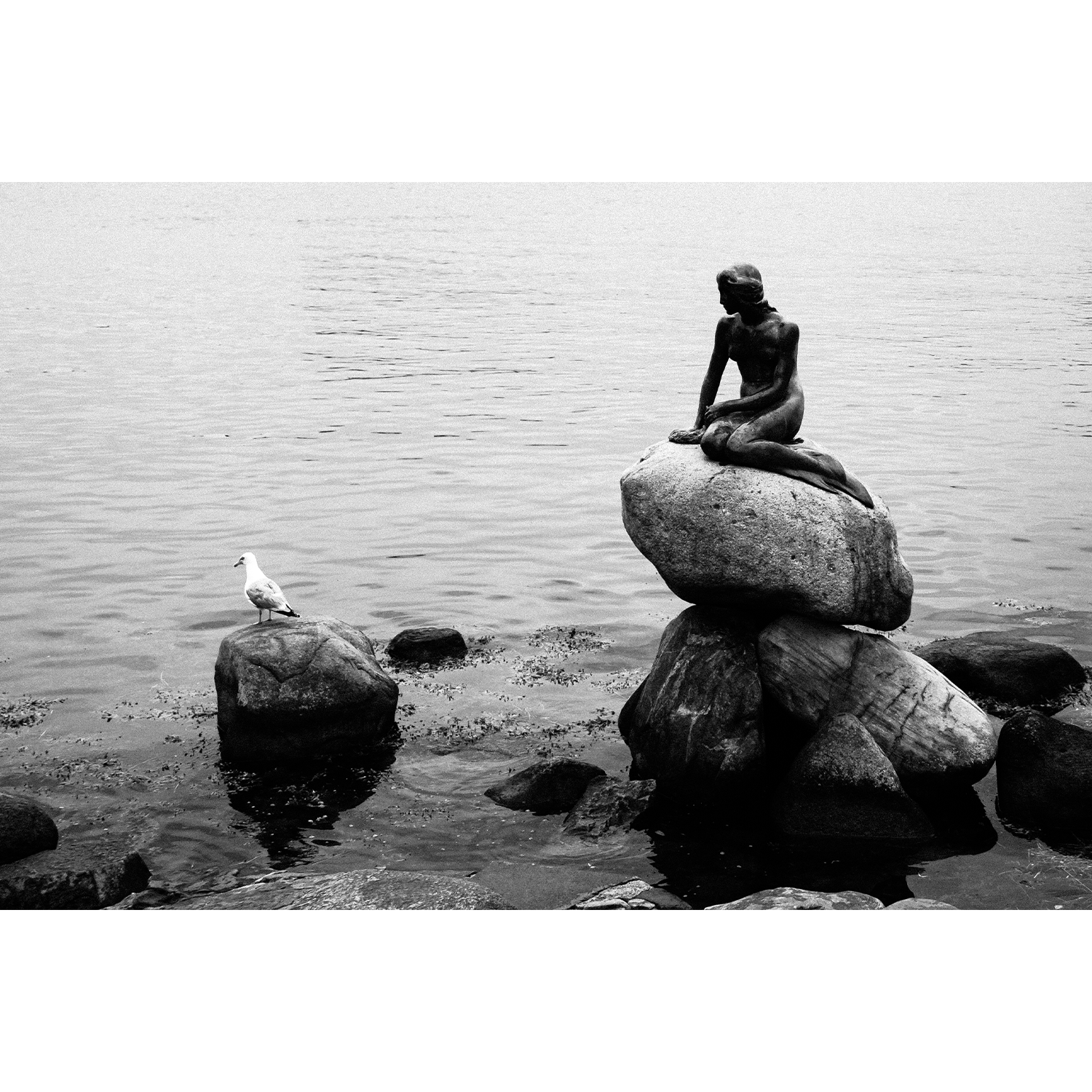 "The Little Mermaid" Print