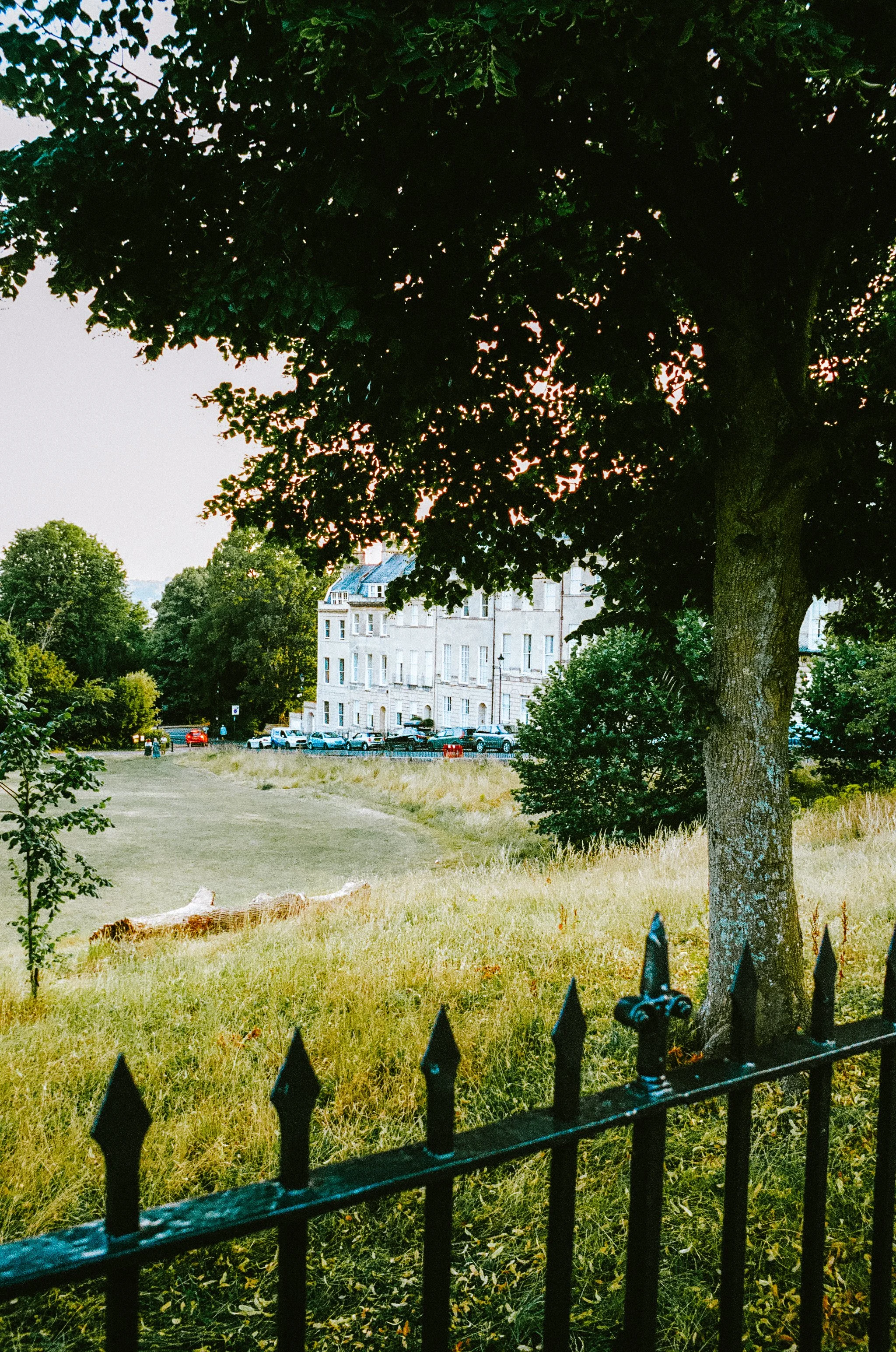 bathonfilm2026-000588490027.jpg