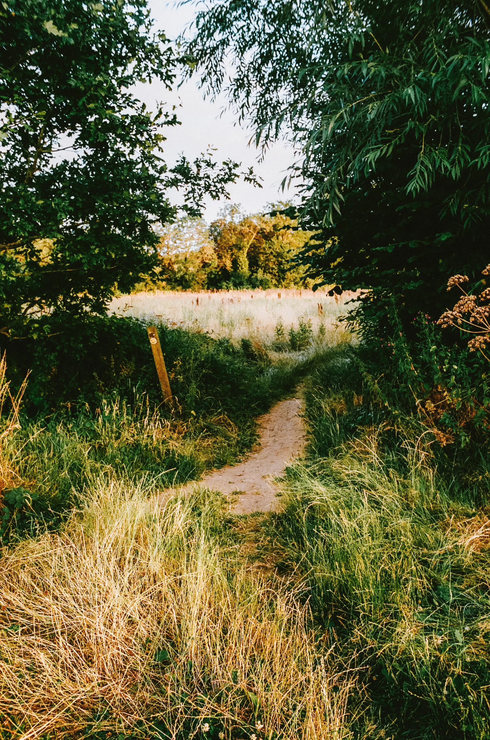 thecotswoldsonfilm2026-000588490013.jpg