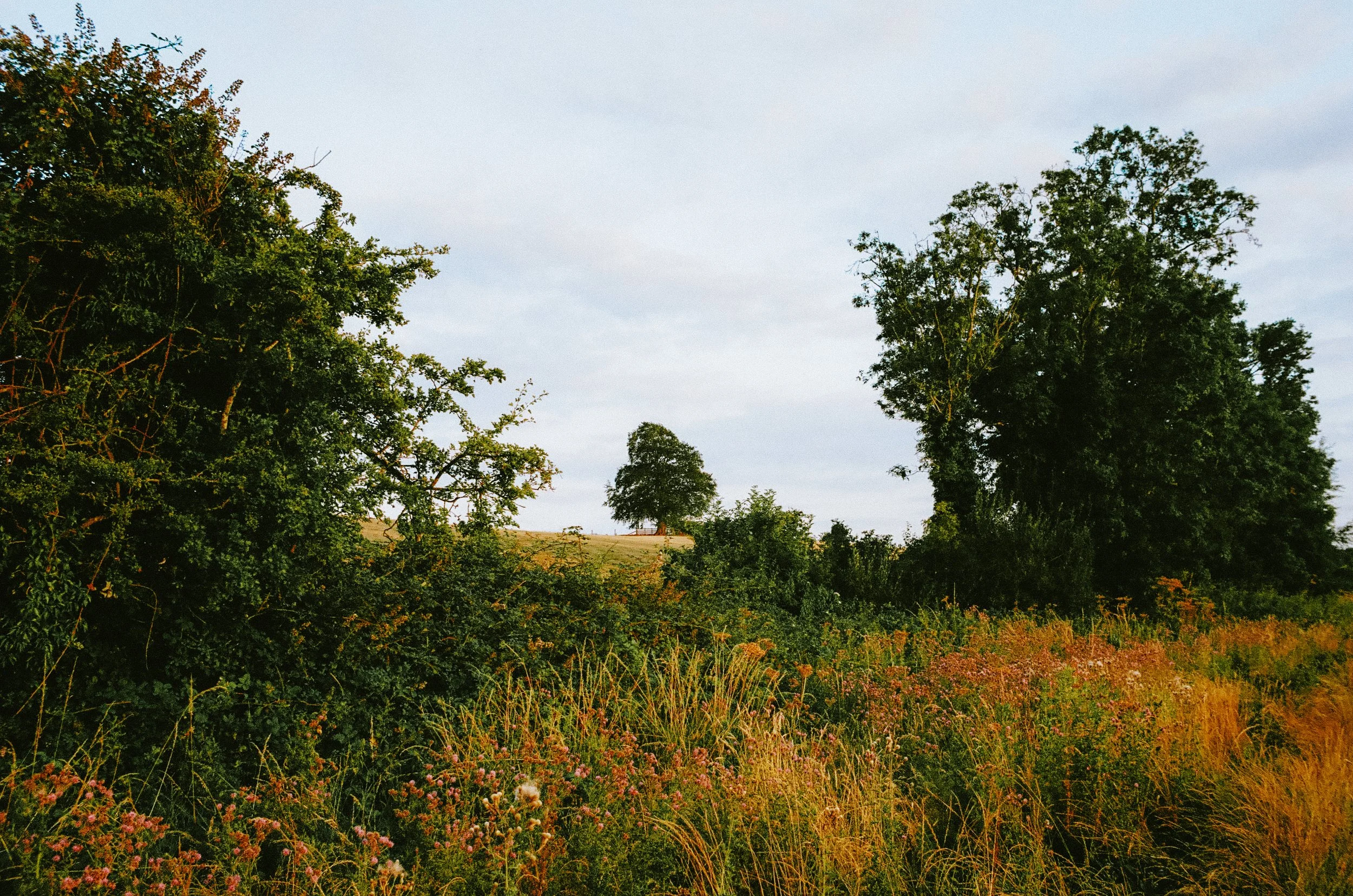thecotswoldsonfilm2026-000588490016.jpg